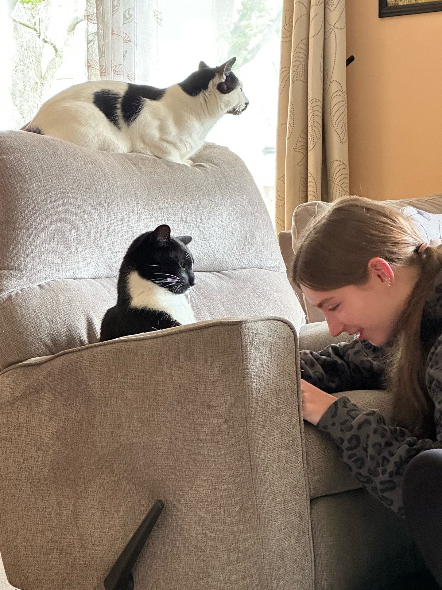 @Bratcats