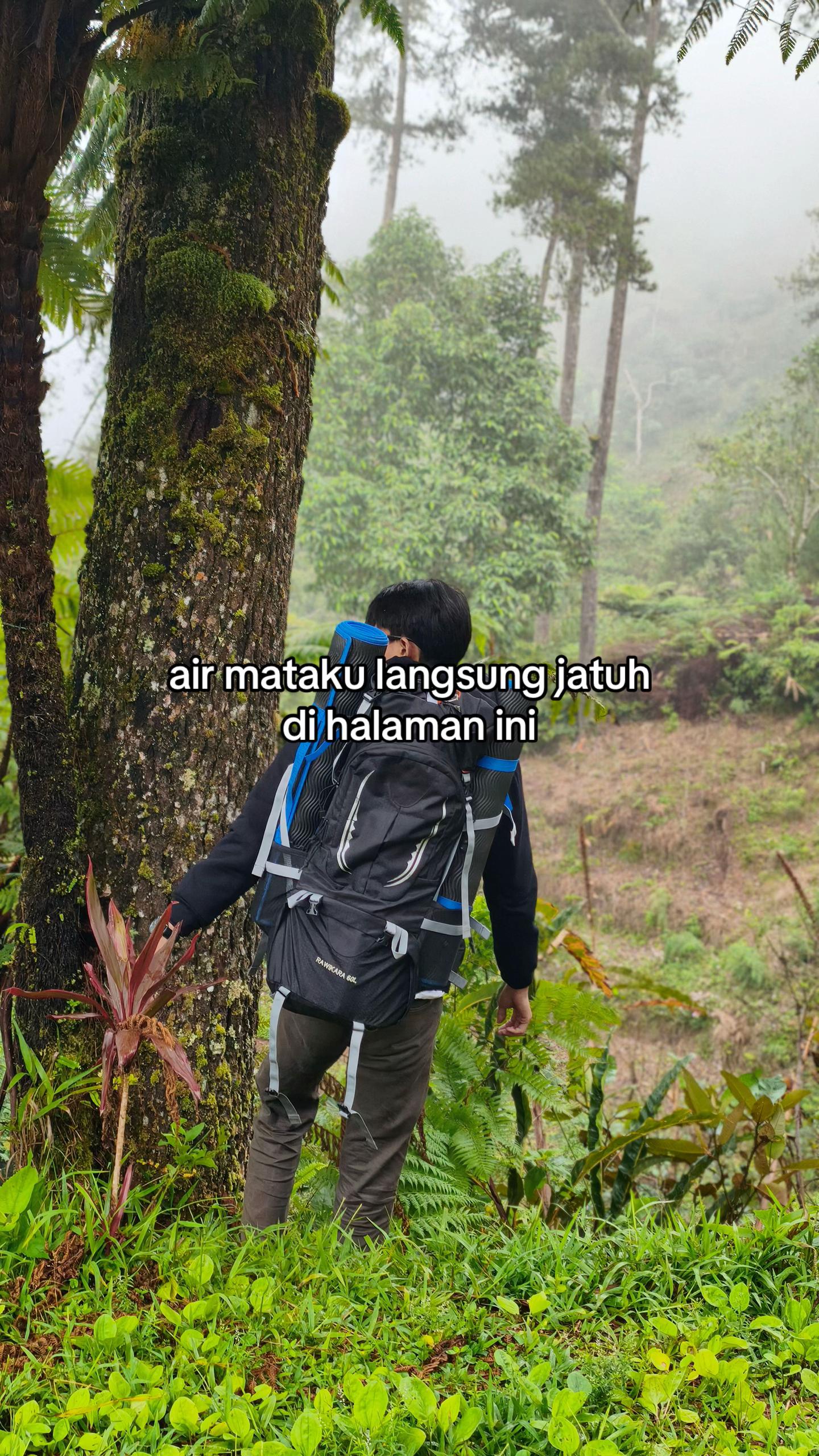 @Umar Nawir