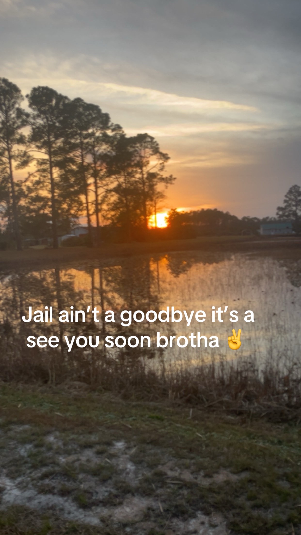 @ynw.luke01