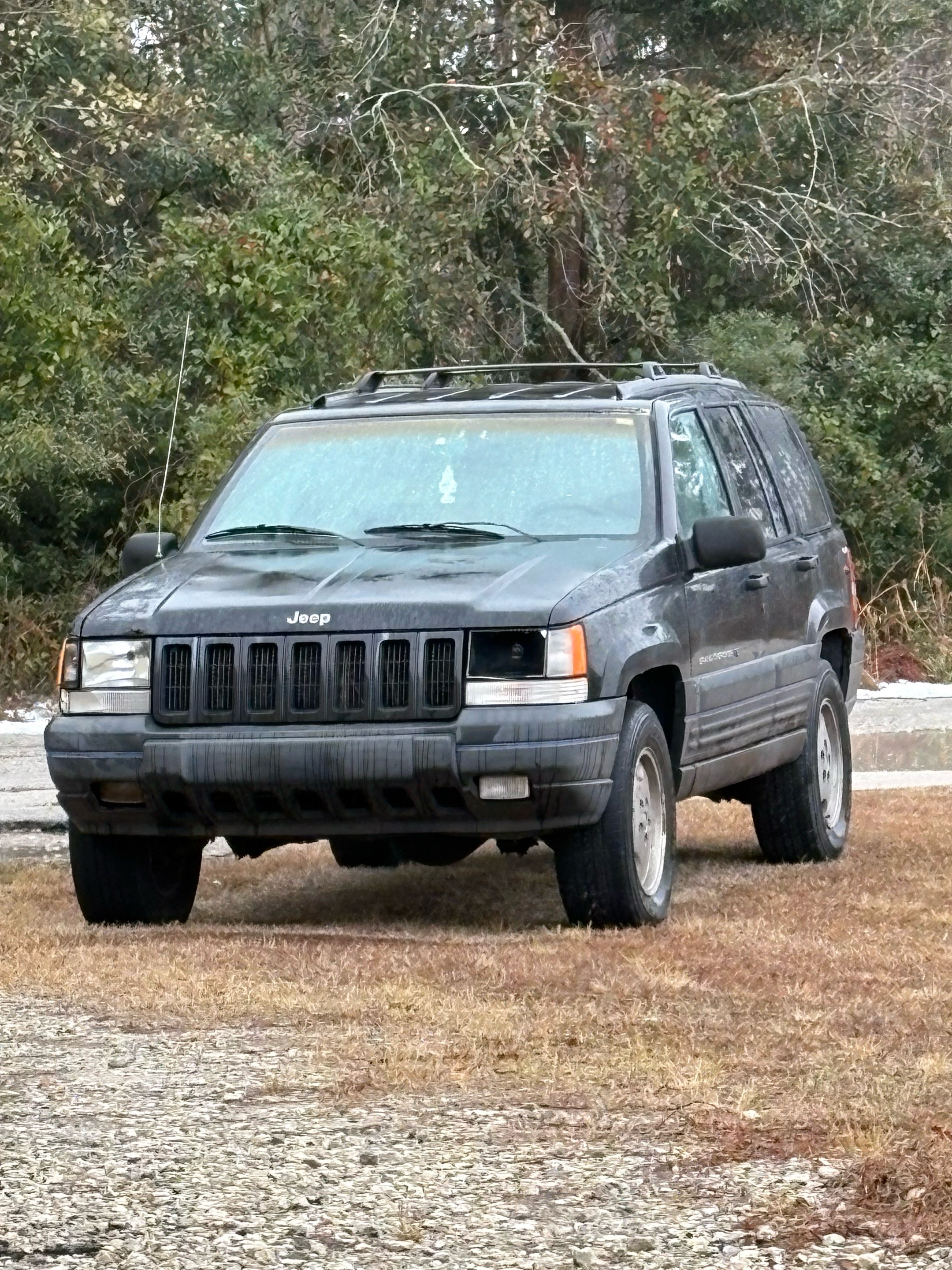 @miraclewhip6.0