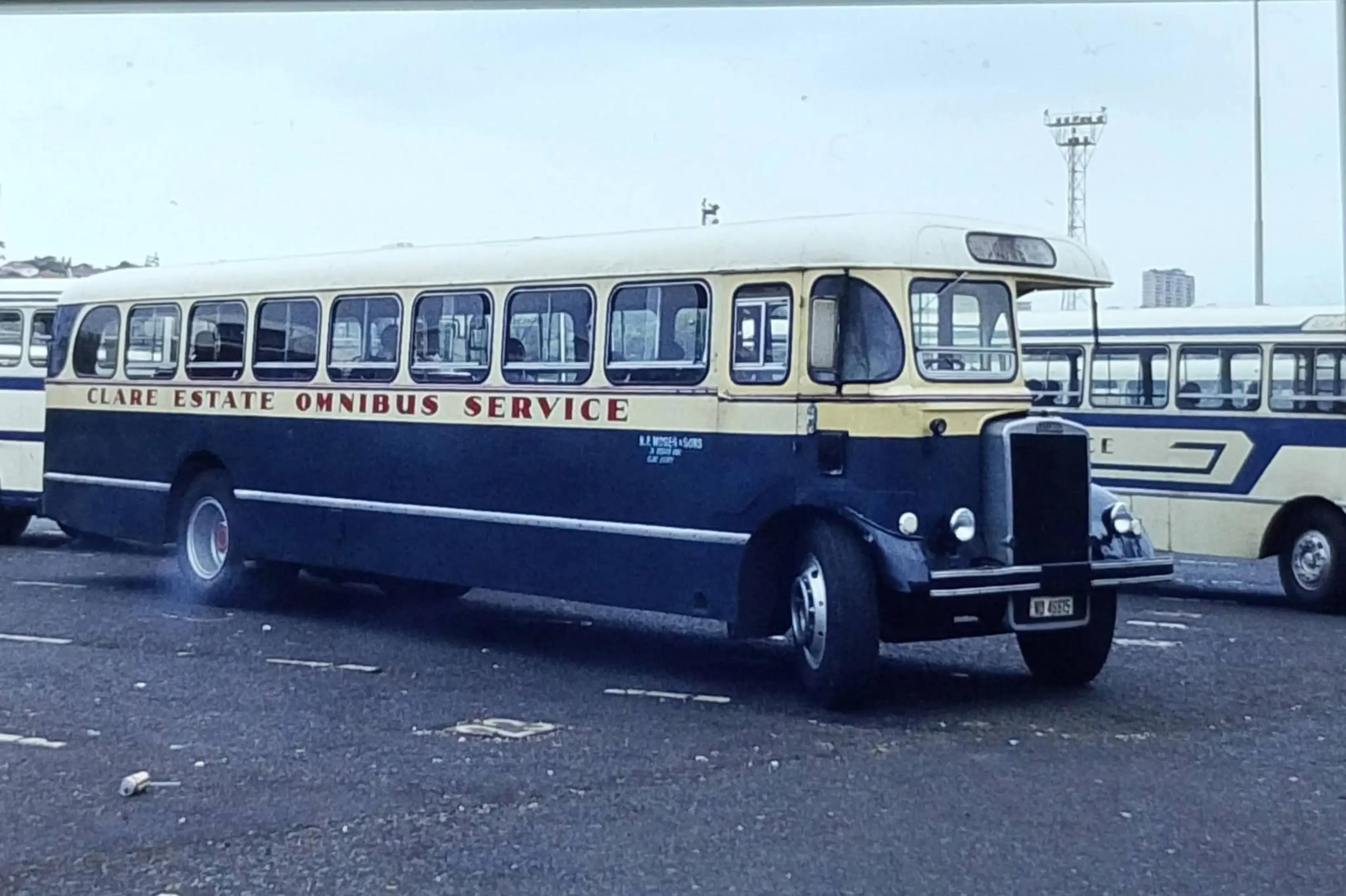 @buses in durban