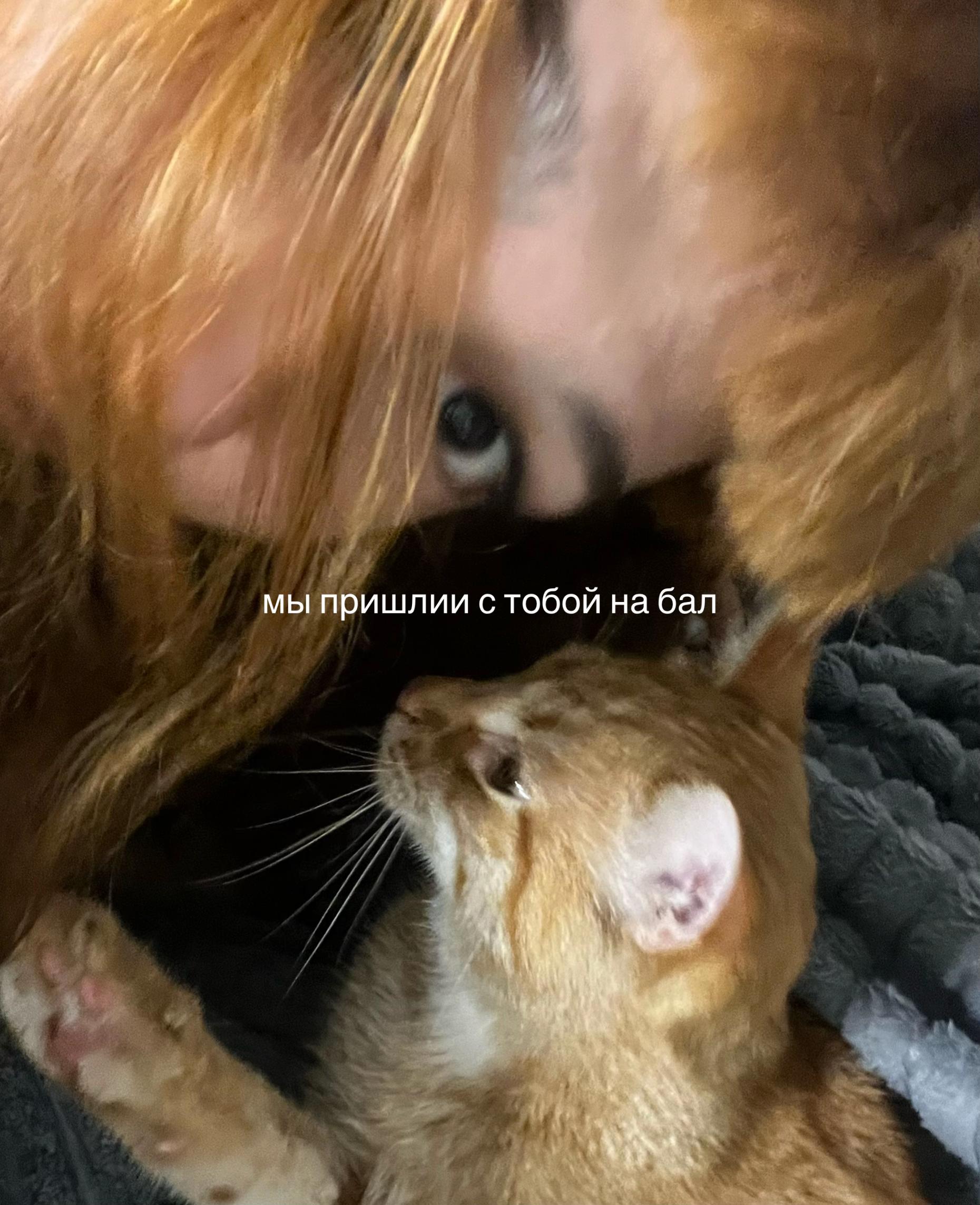 @fluv 🦇