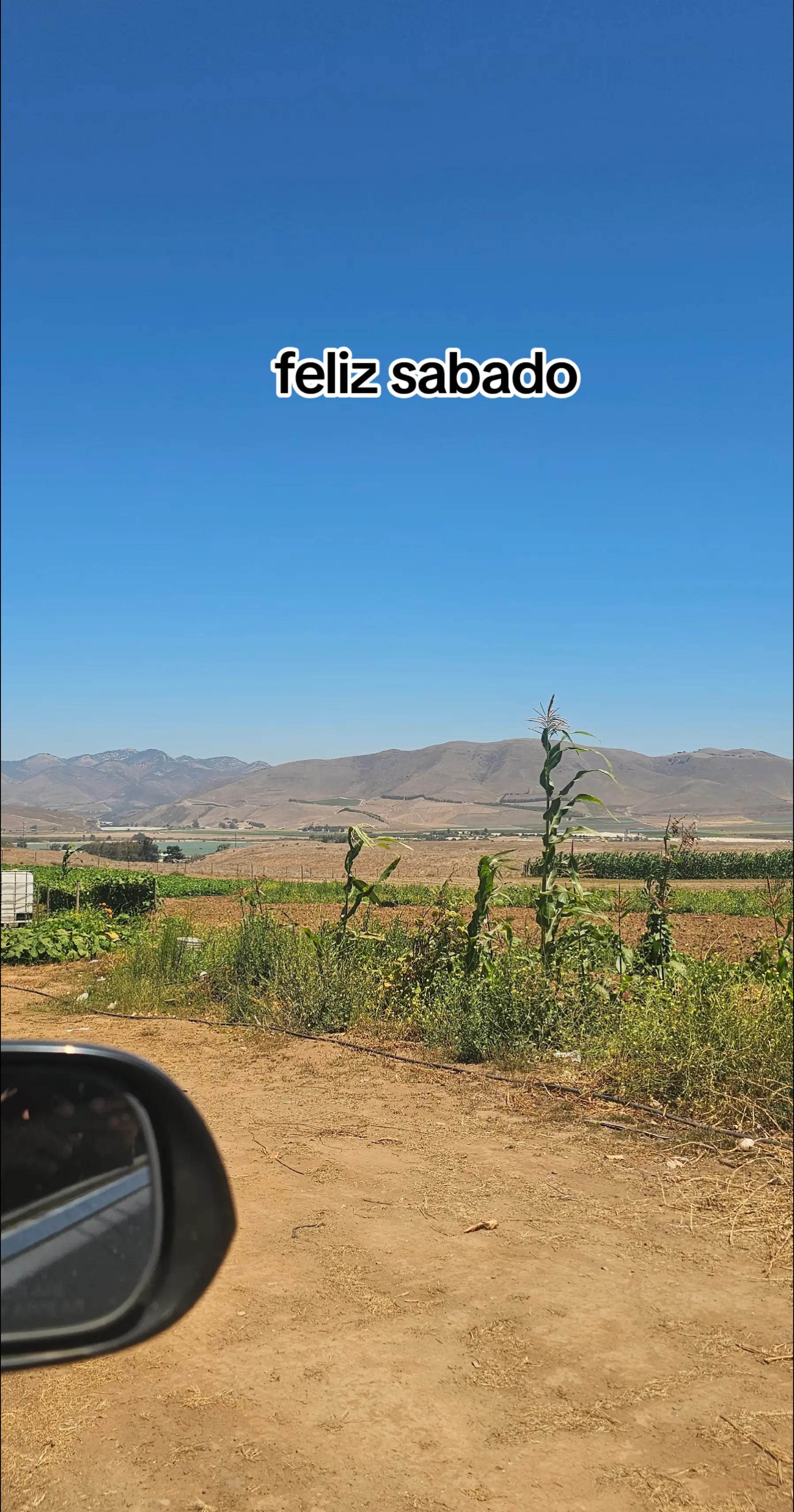 @🇲🇽🐦⬛🪺VASQUEZ🚚🌪💎