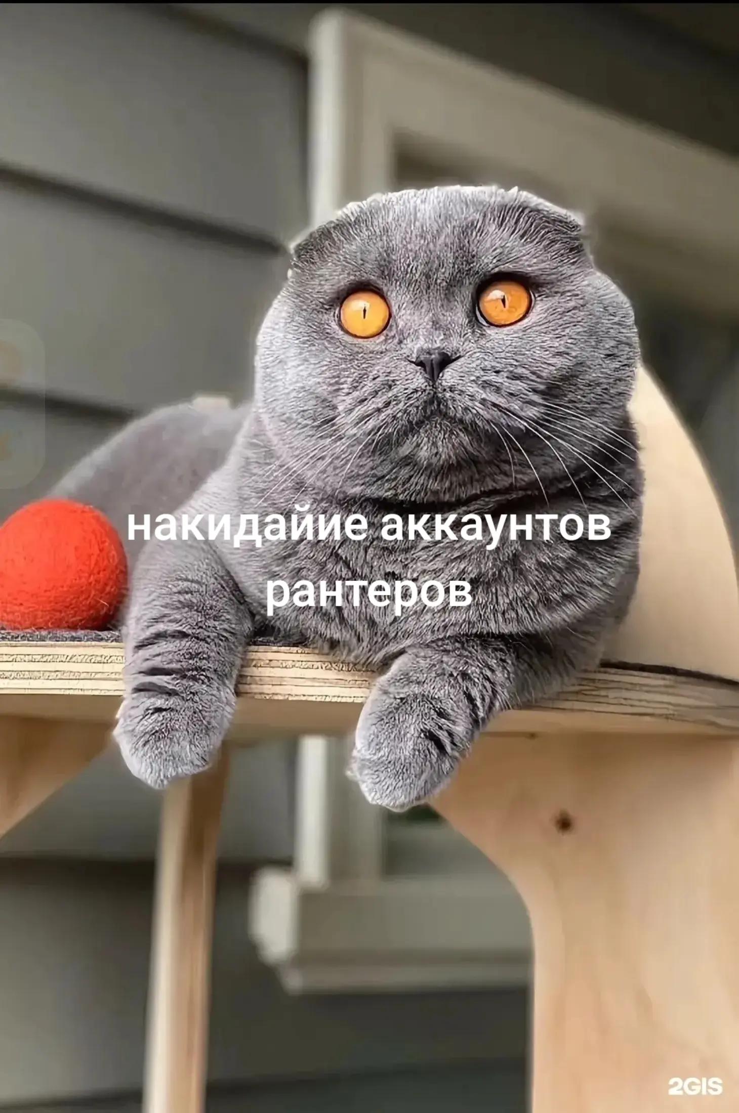 @🥚Данькин Доллар💵