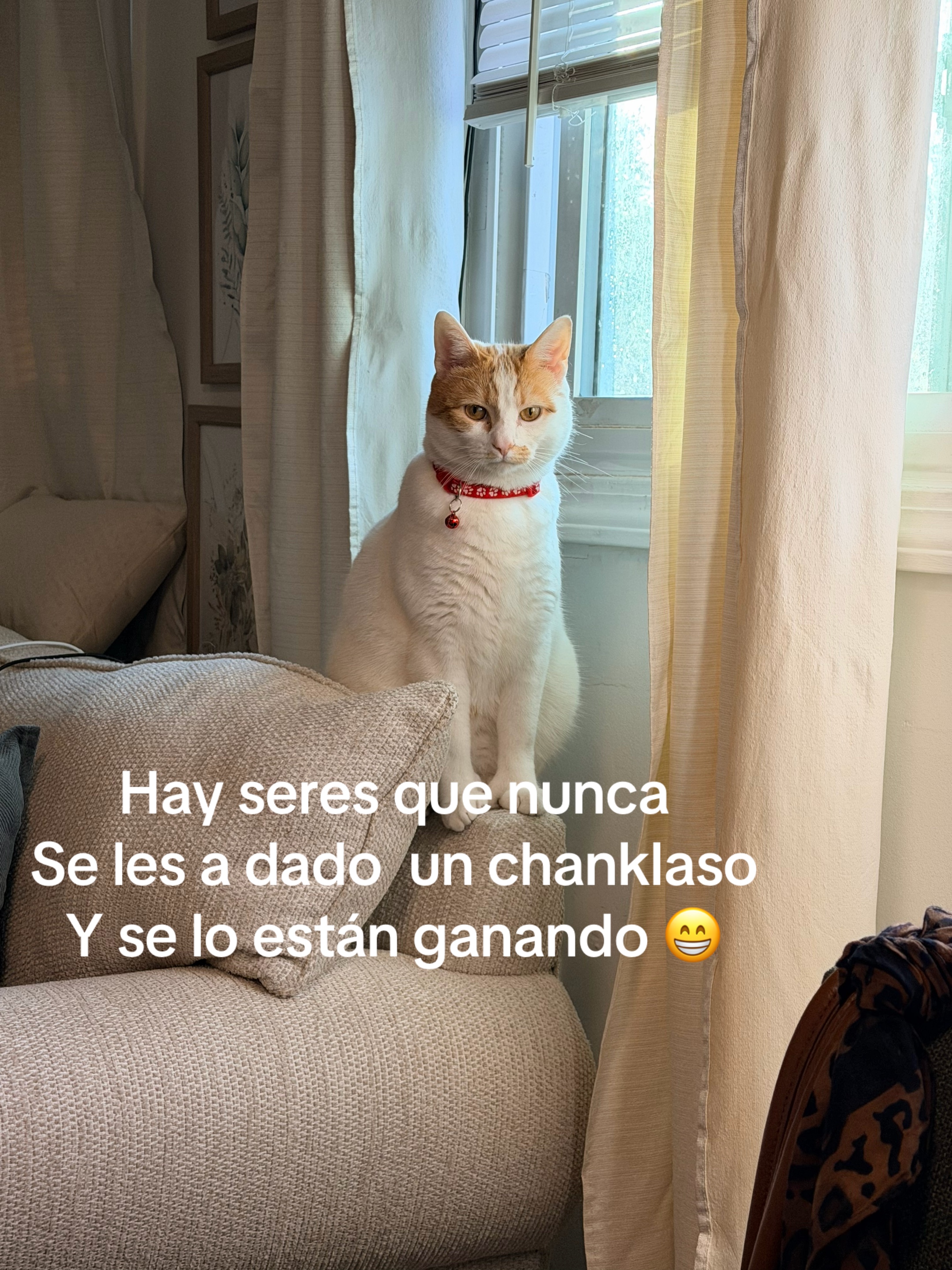 @Hanna 🐈 & Mayrie 👱&zwj;♀️