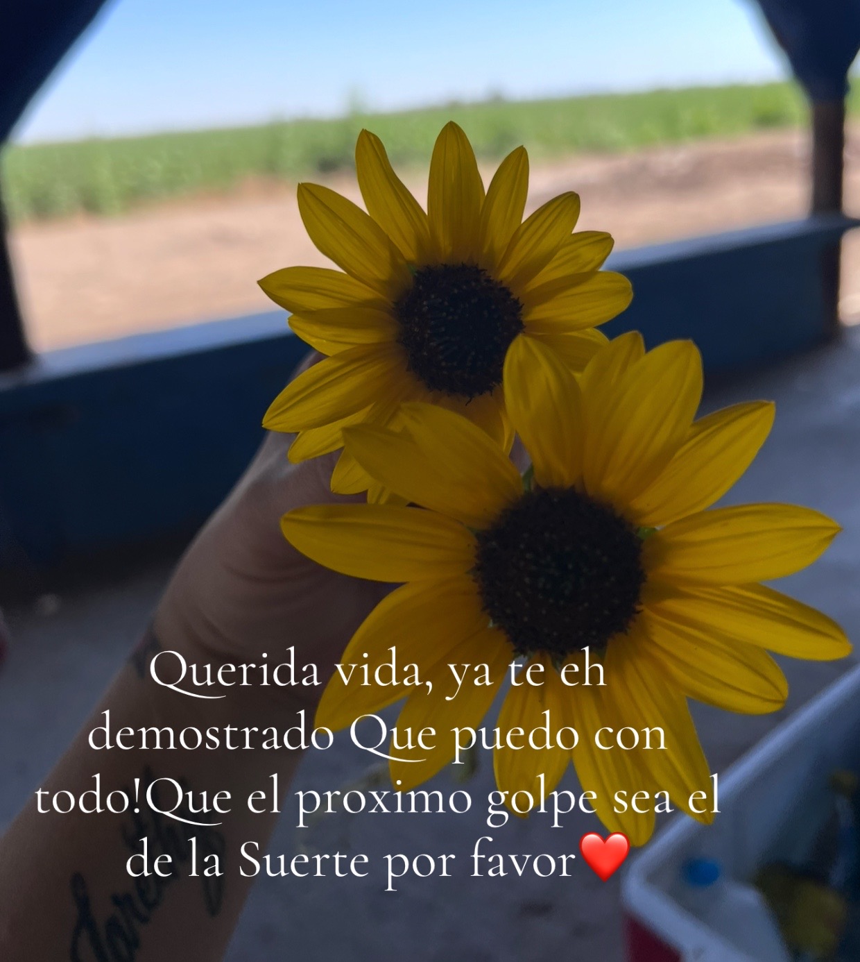 @Mely