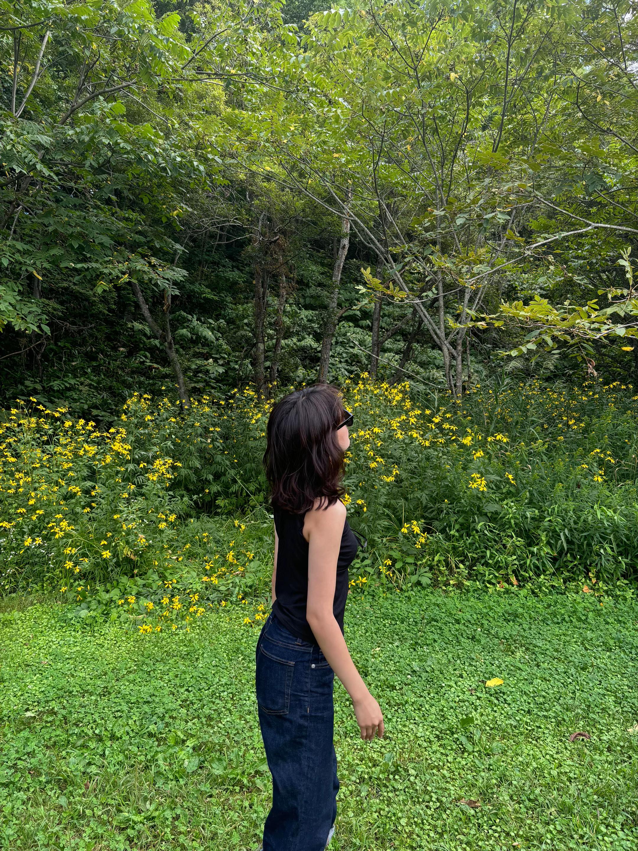 @hanaaaaaa