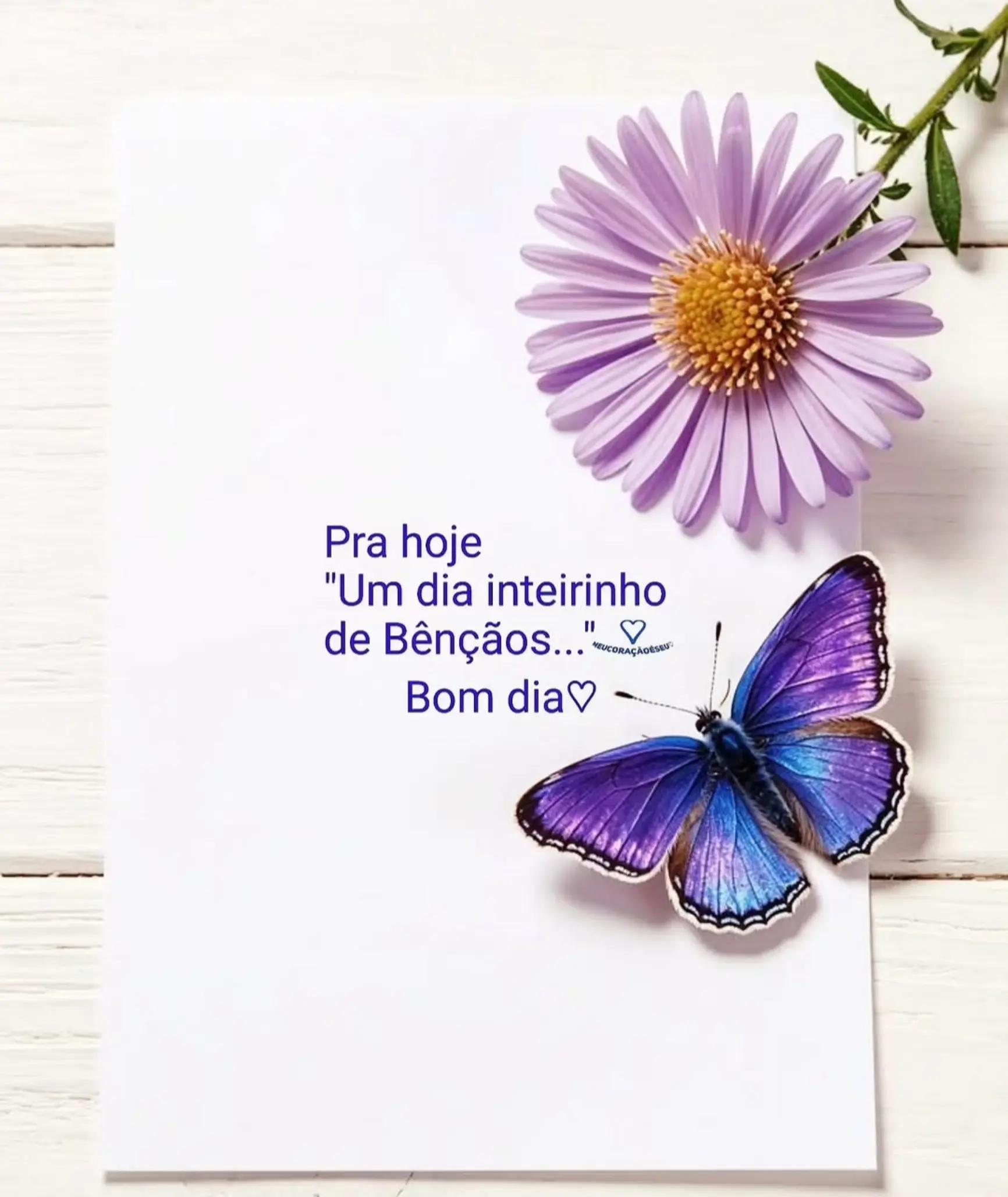 @Deia