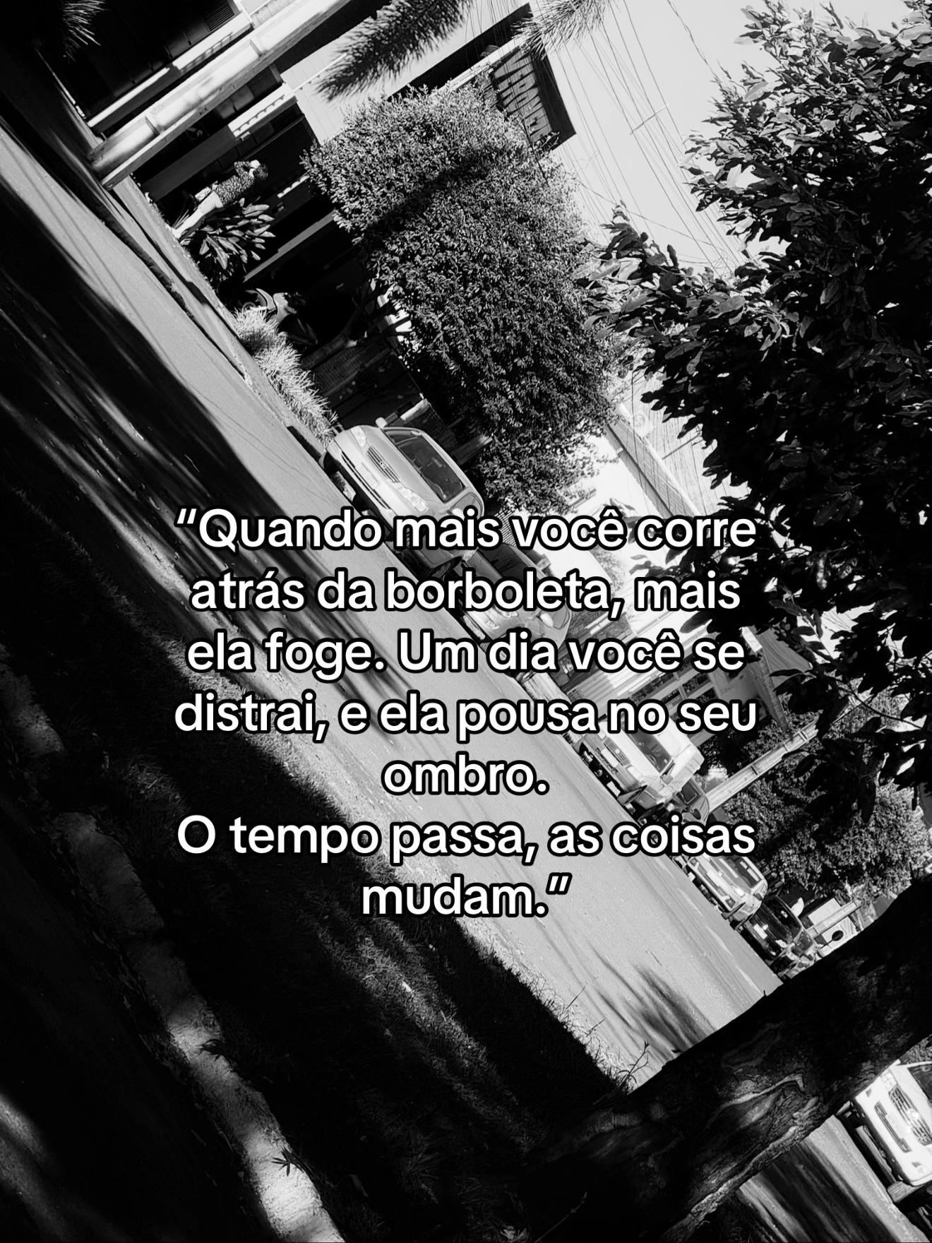 @Bruna Chaves🥇🏐