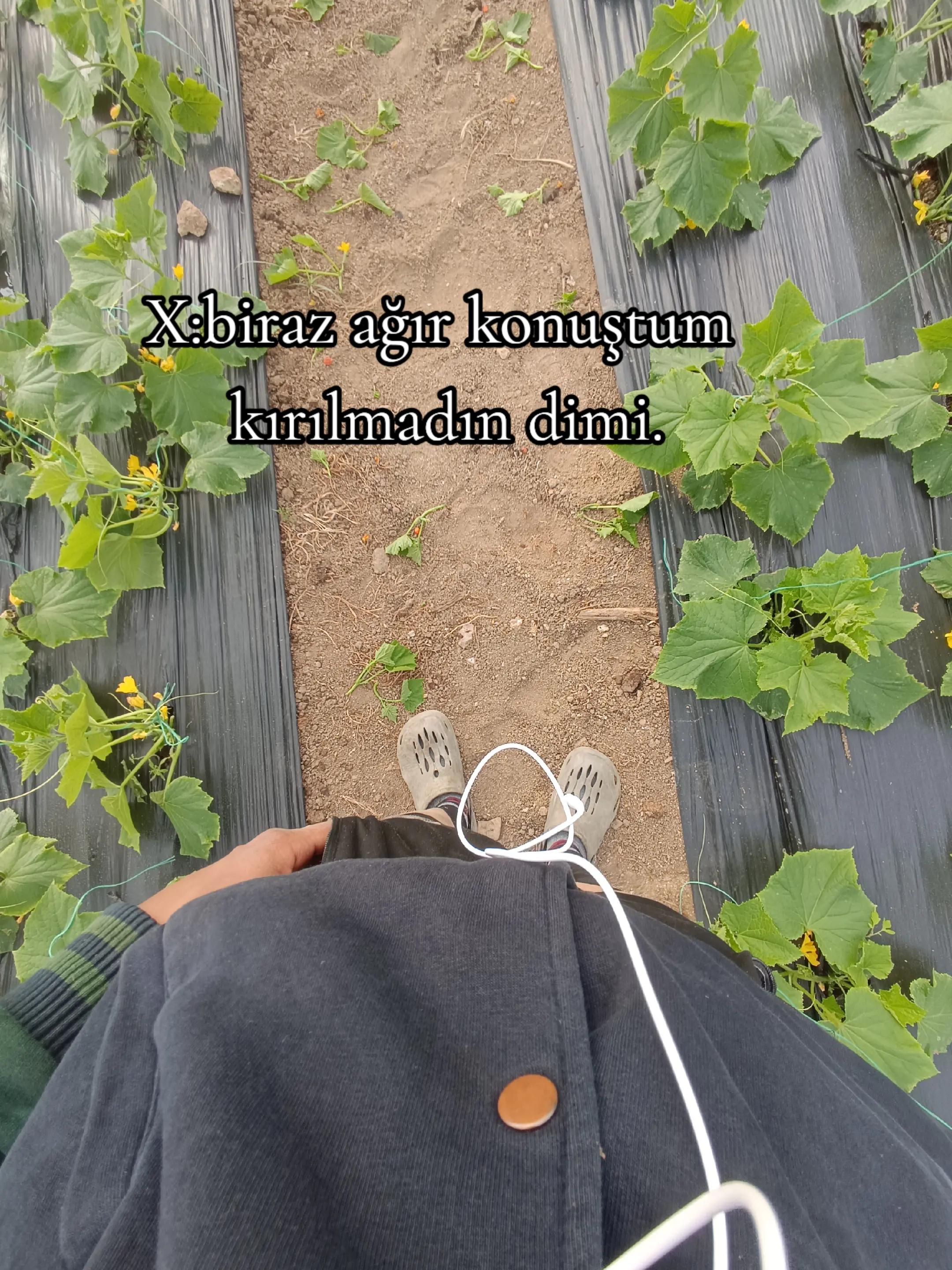 @”⁴⁰⁴Alican”¹⁶Ω♪`~¶™