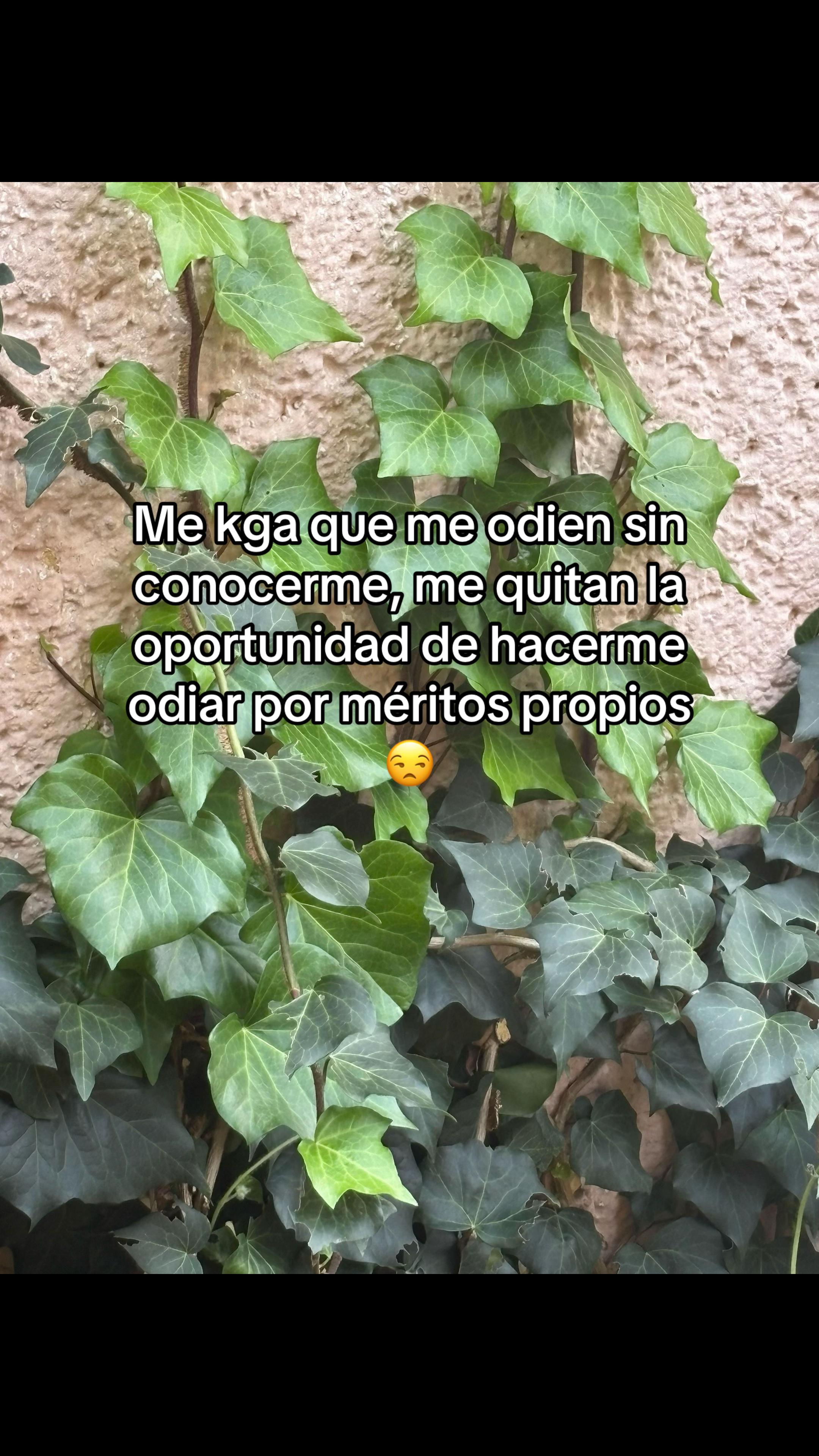 @Navil