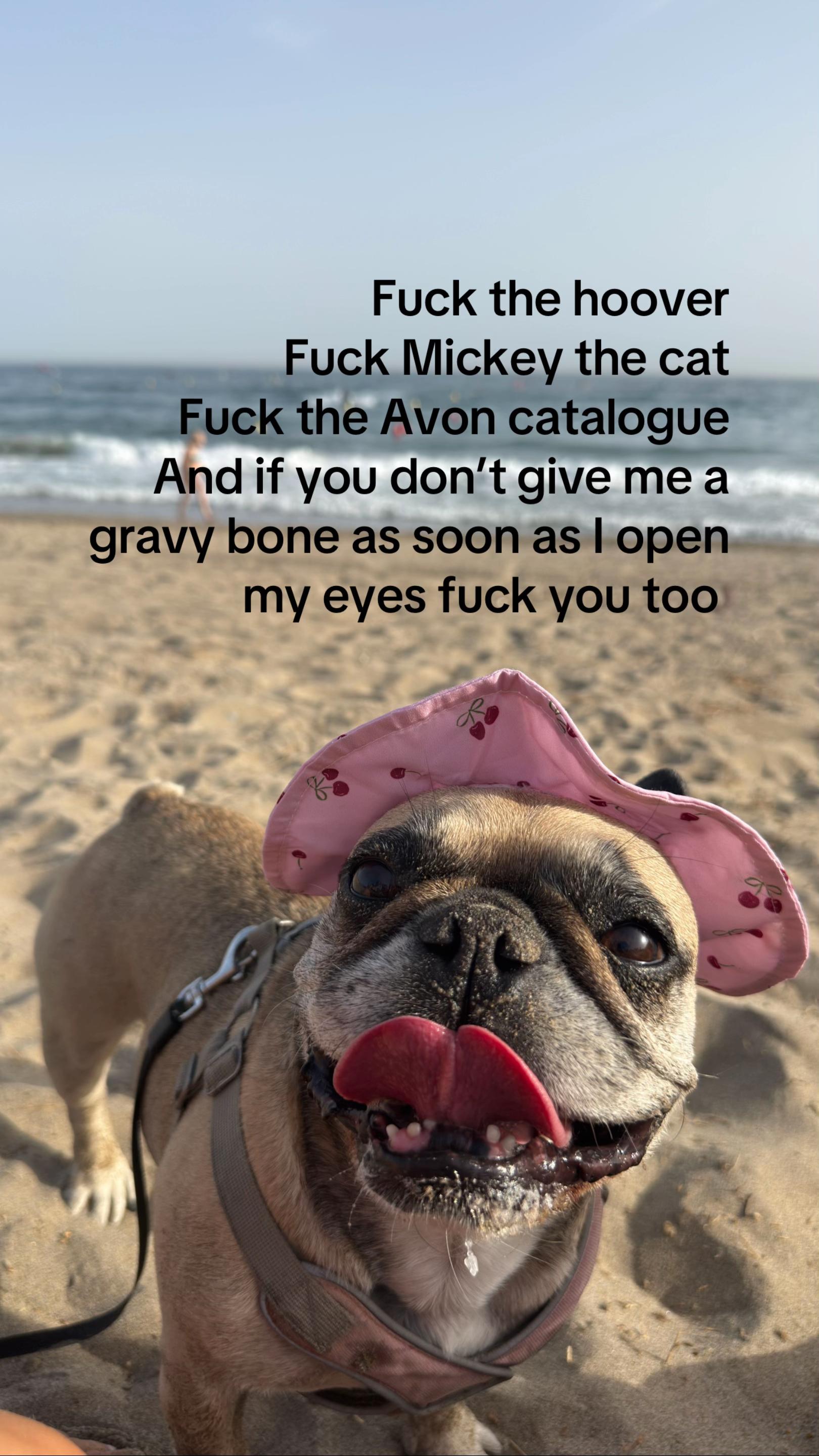 @Danielle 🎀