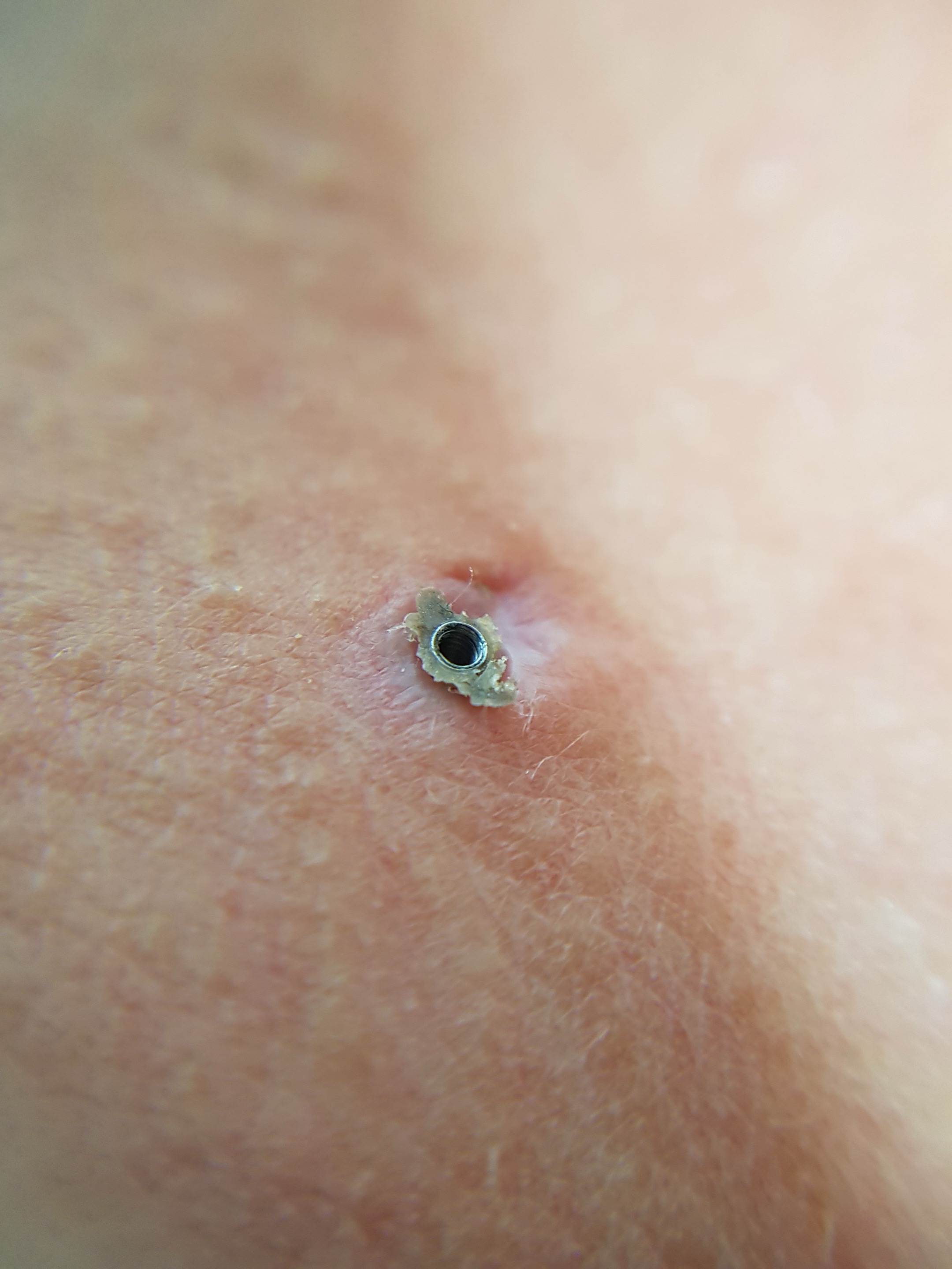 @Piercing by Anastasia
