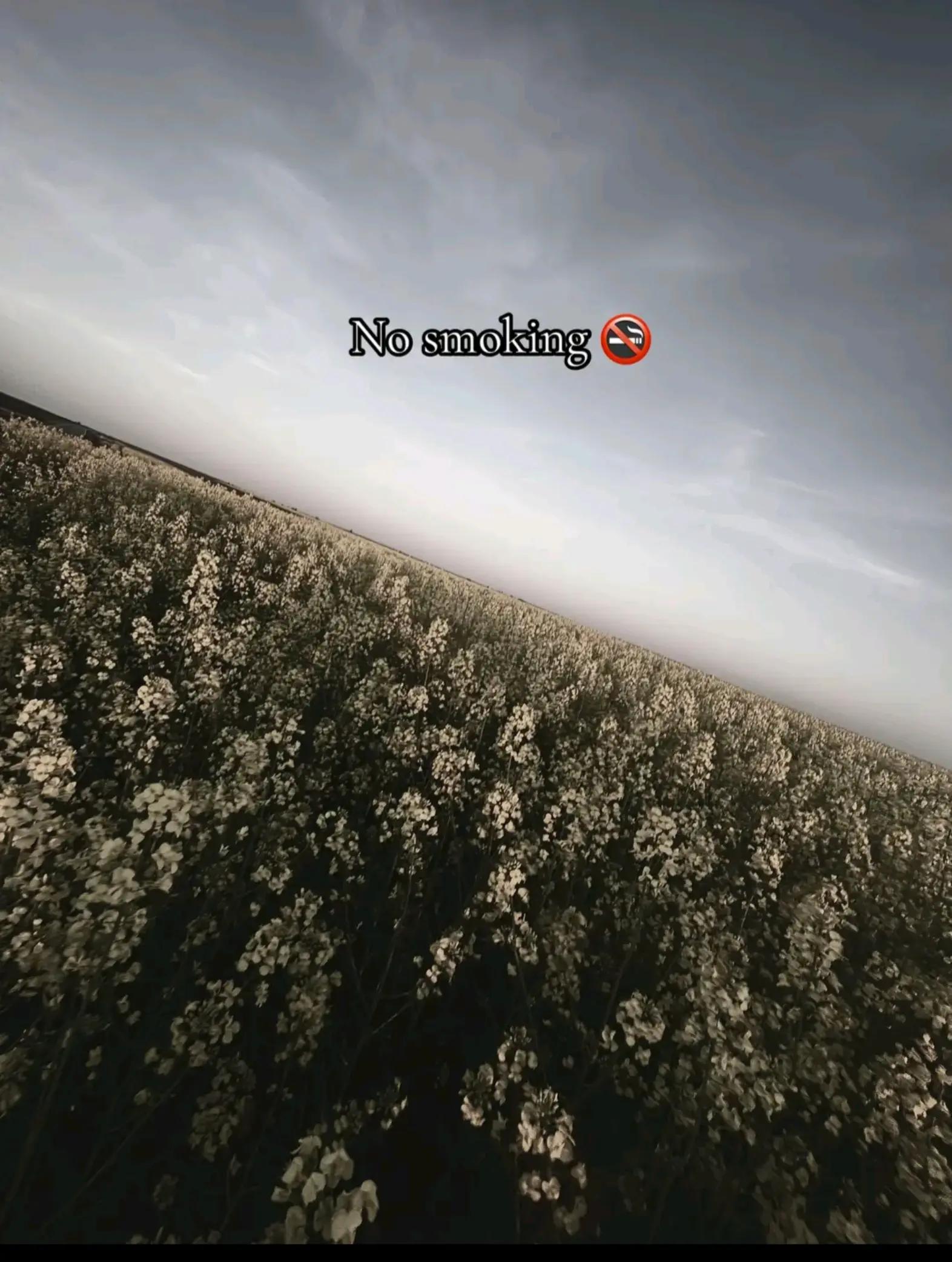 @qx.eliza