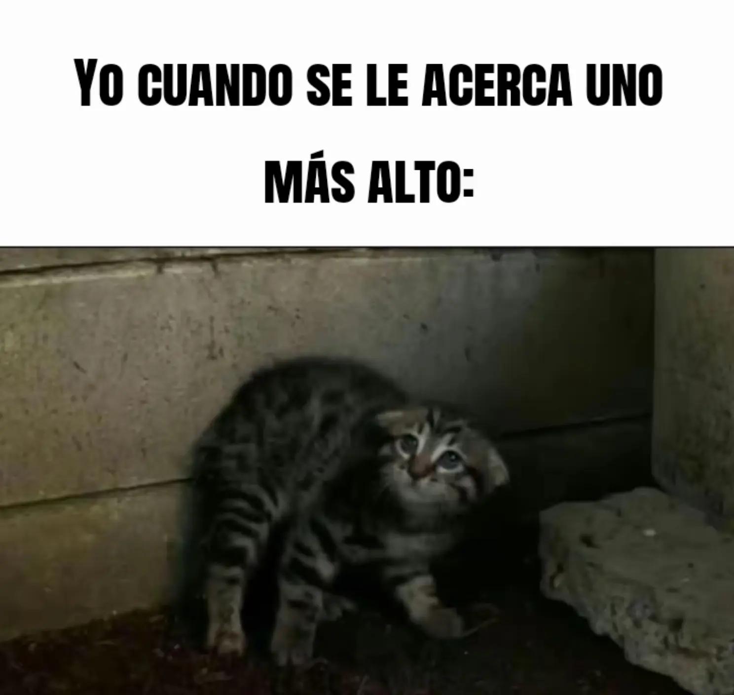 @Alexis - Kun🦇
