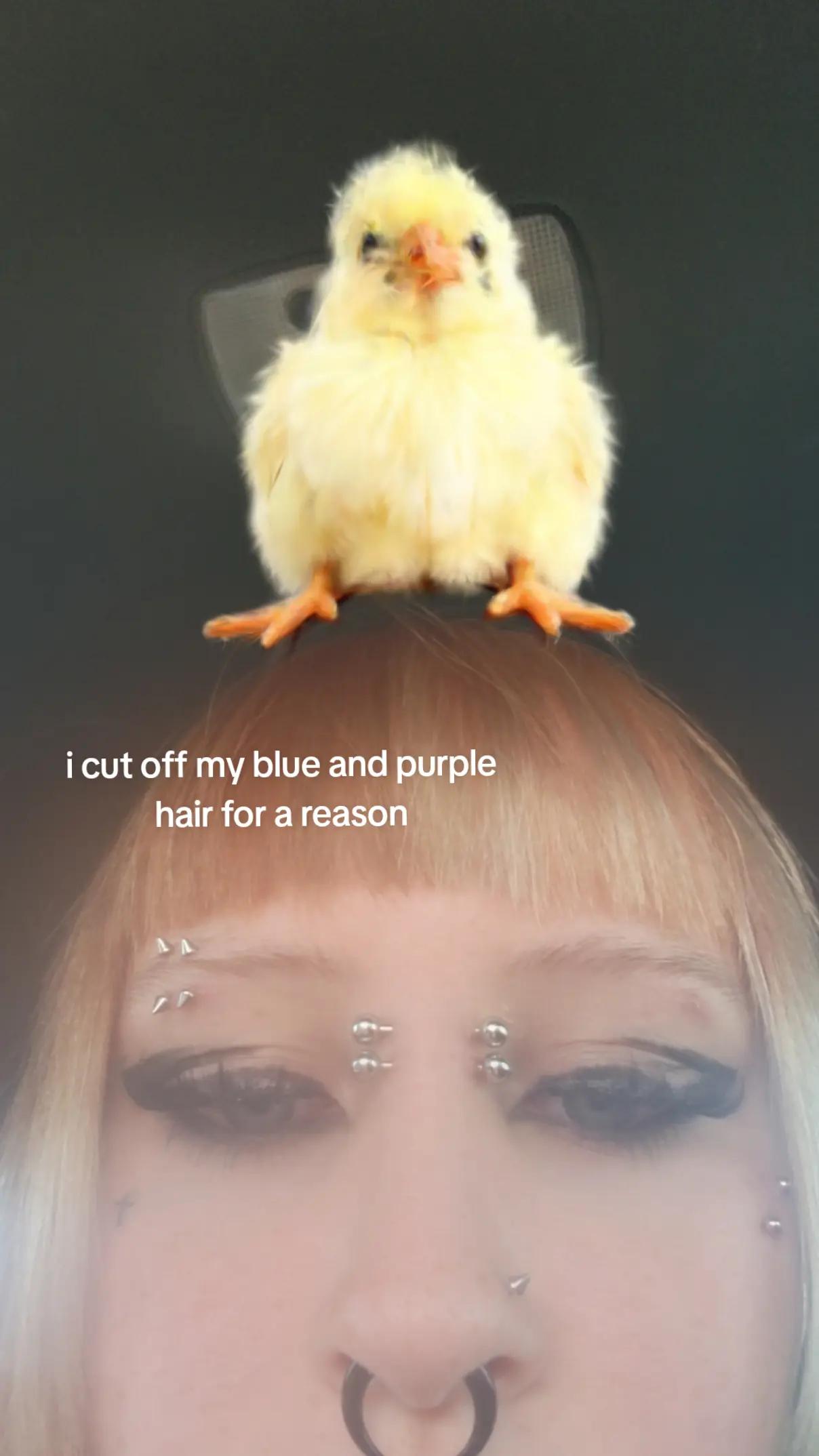 @kenzie