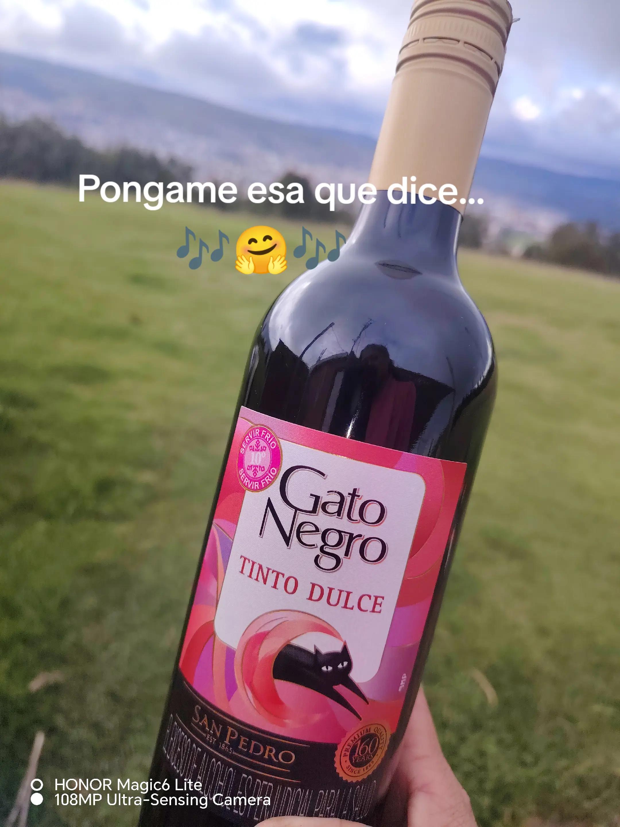 @Angelica E Sanabria