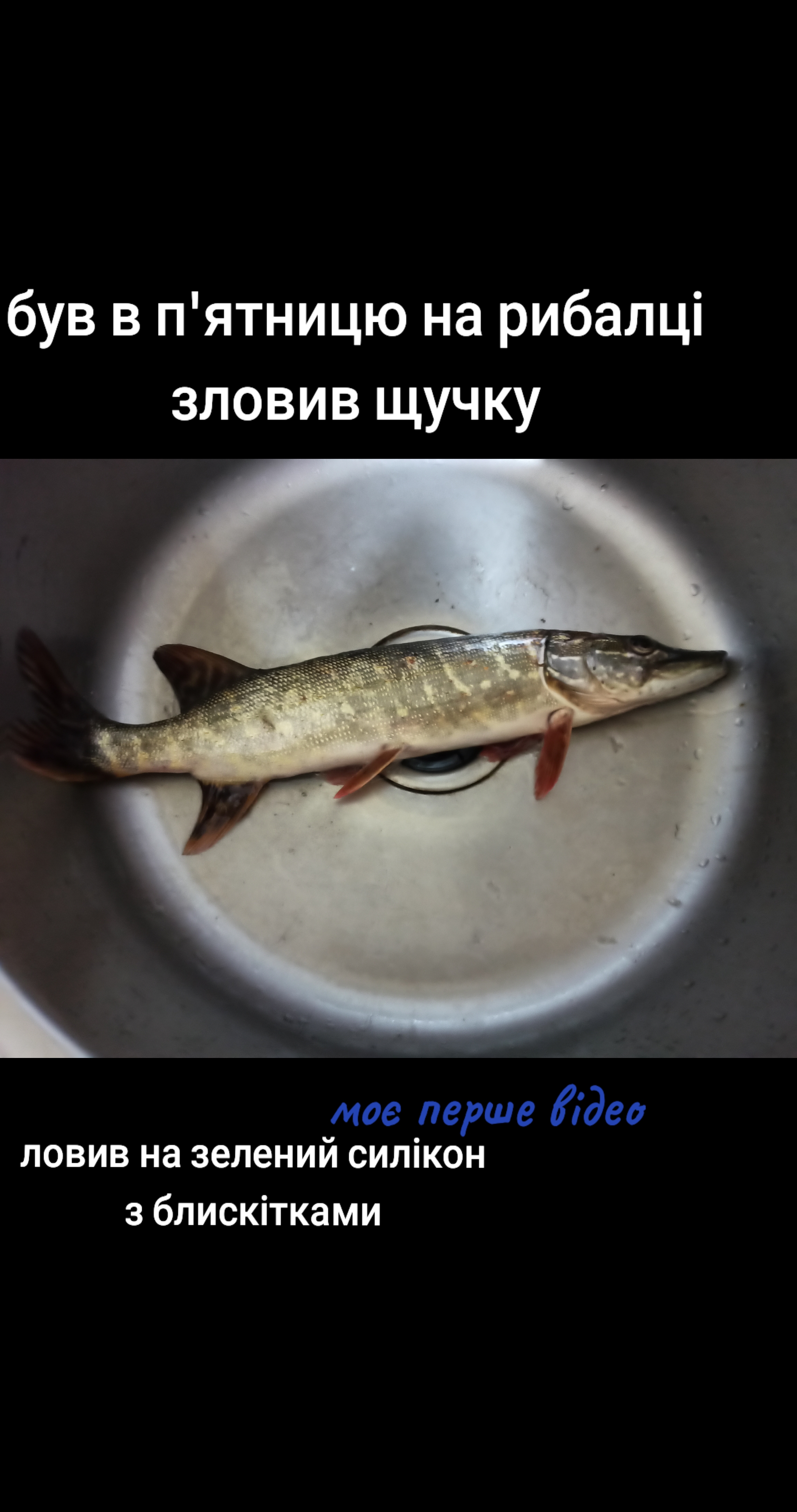 @🐟рибачок🇺🇦
