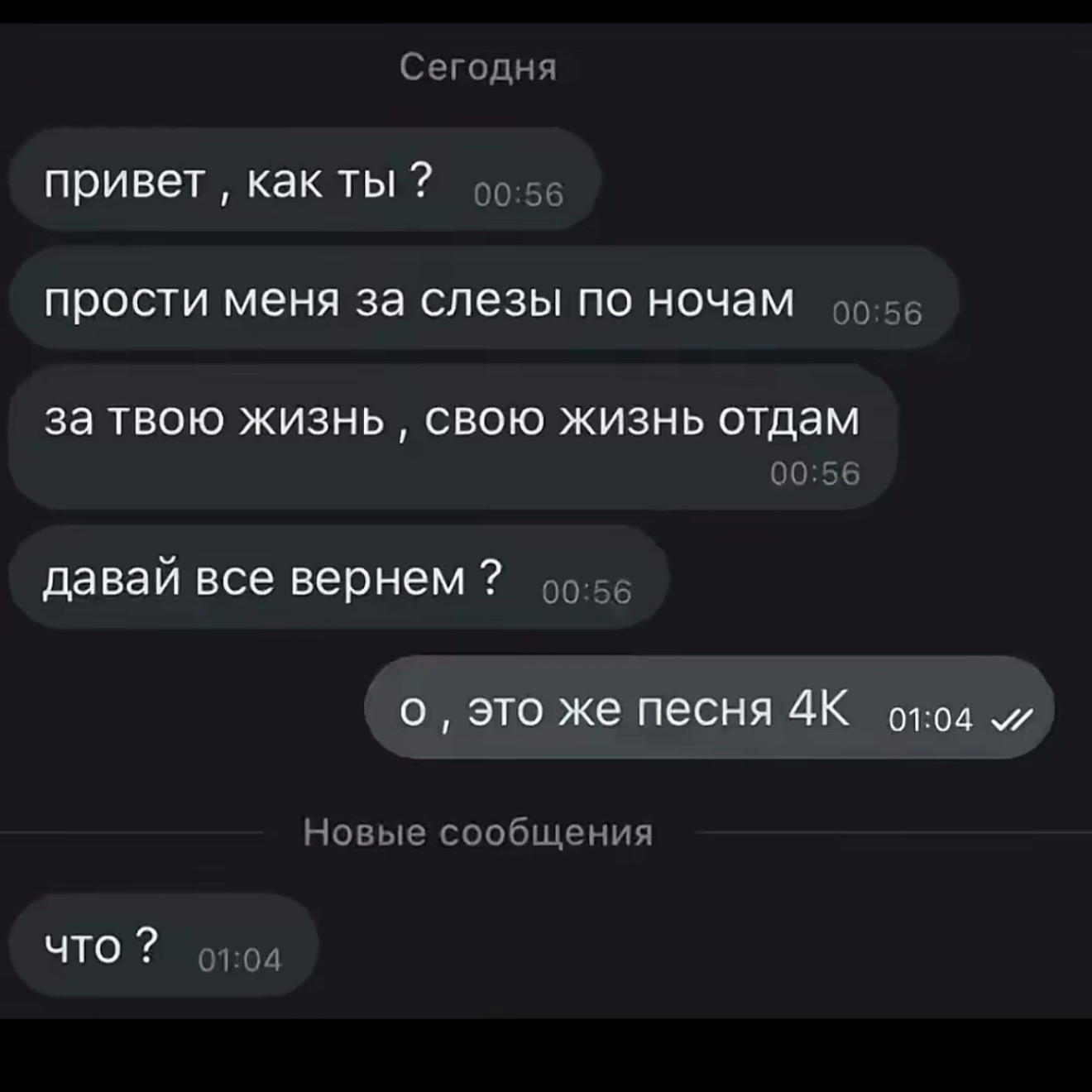 @shaihut.dinova