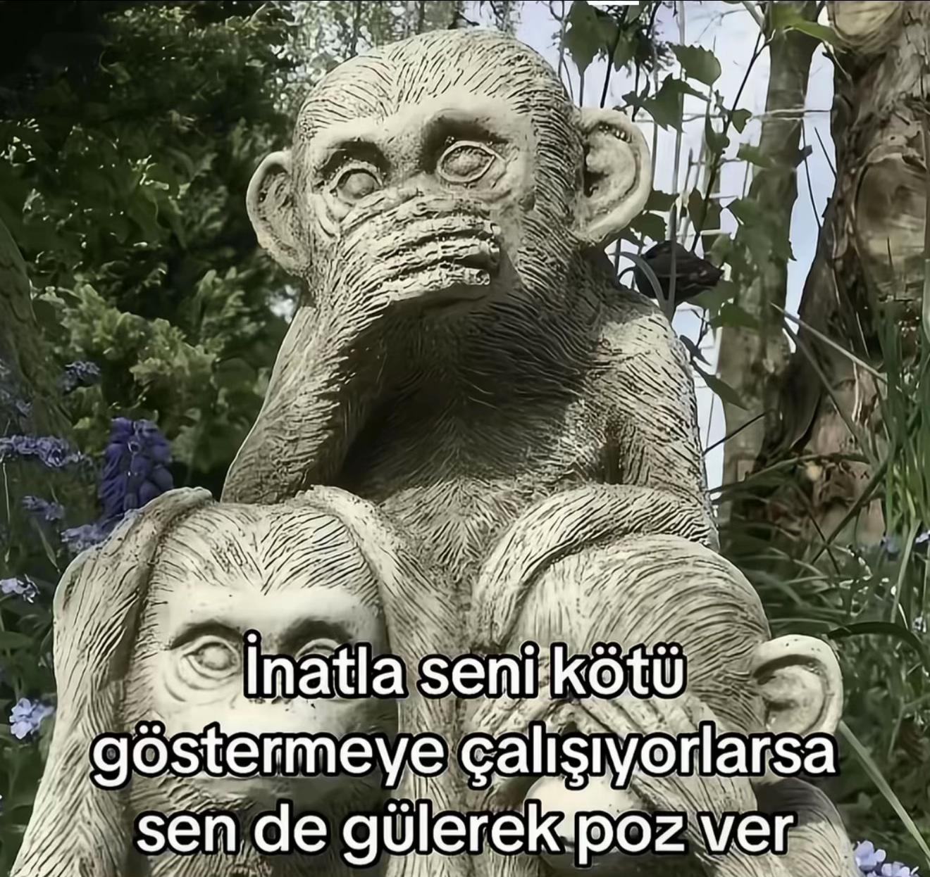 @ANIL YANIK