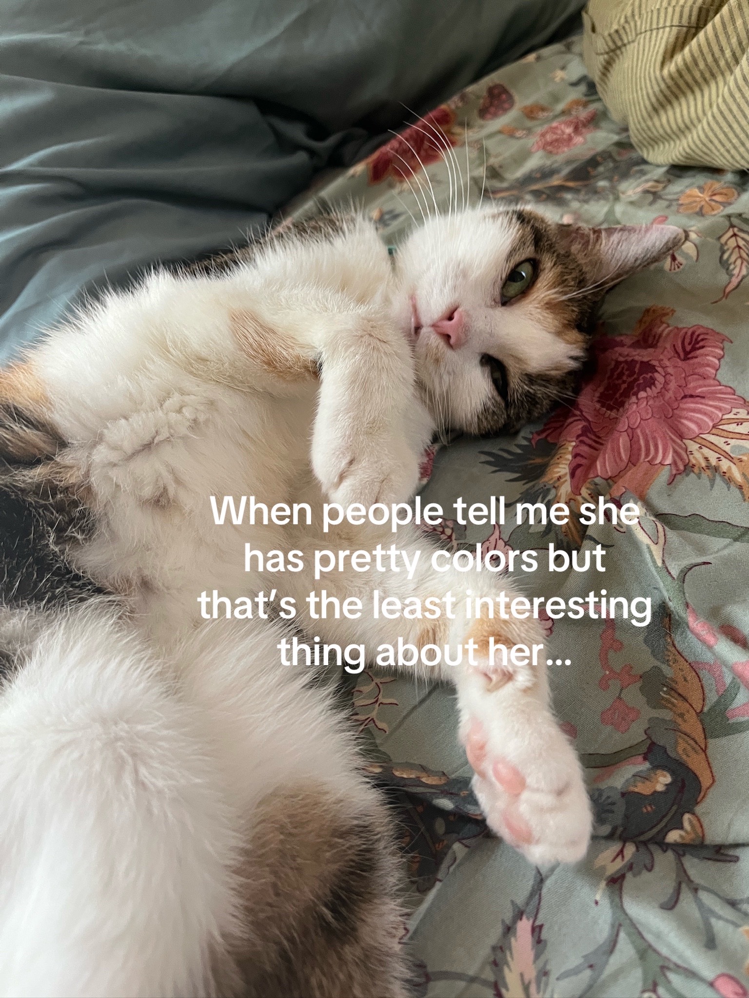@pennyloafersmom