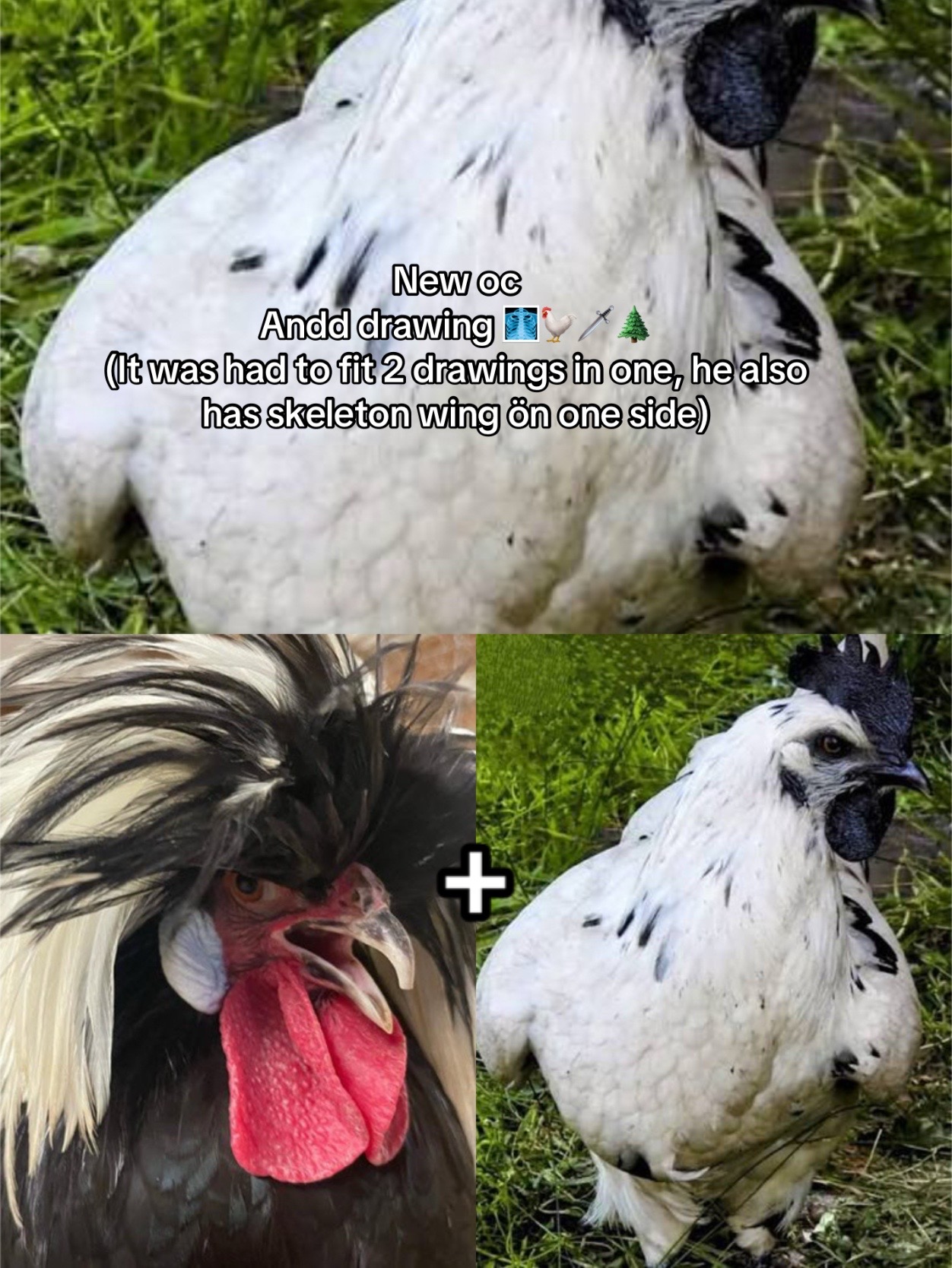 @🥩⚔️𝔏𝔞𝔡𝔶 𝔢𝔳𝔦𝔩 ⚔️🌲