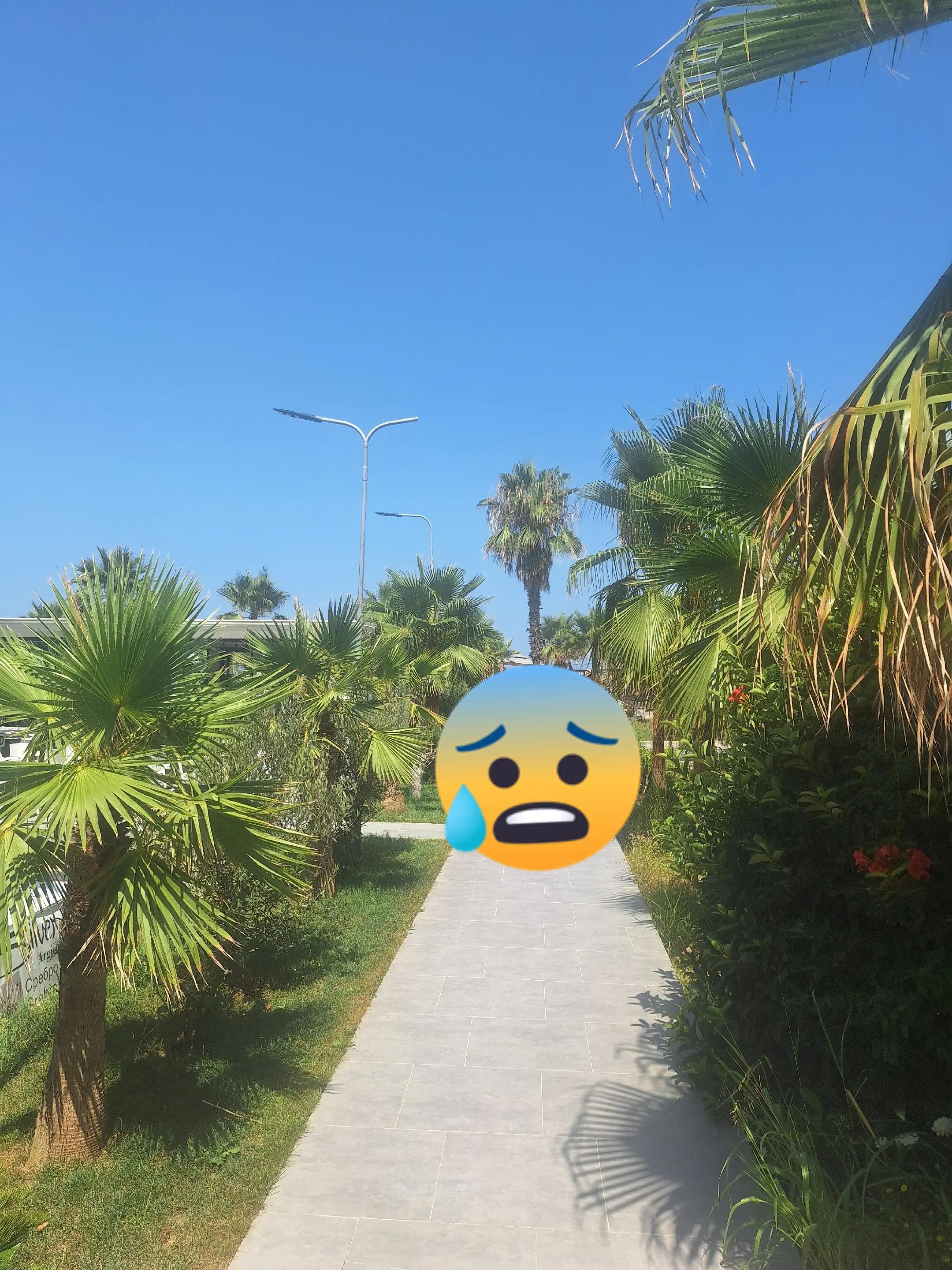 @Hana_.17