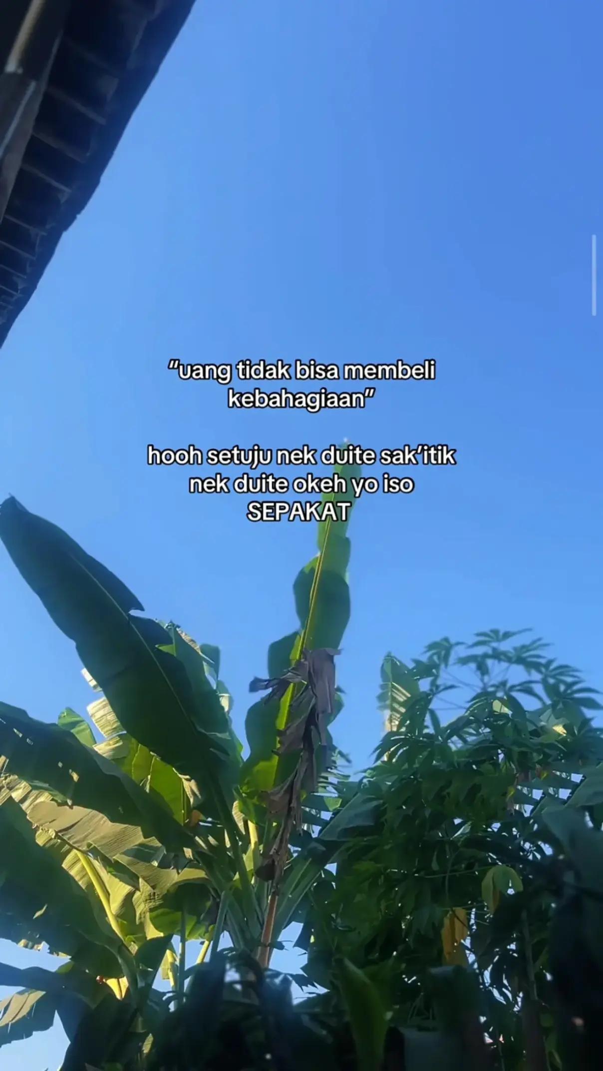 @𝙉𝙖𝙟𝙬𝙖 𝘼𝙡 𝘼𝙨𝙨𝙮𝙞𝙛𝙖