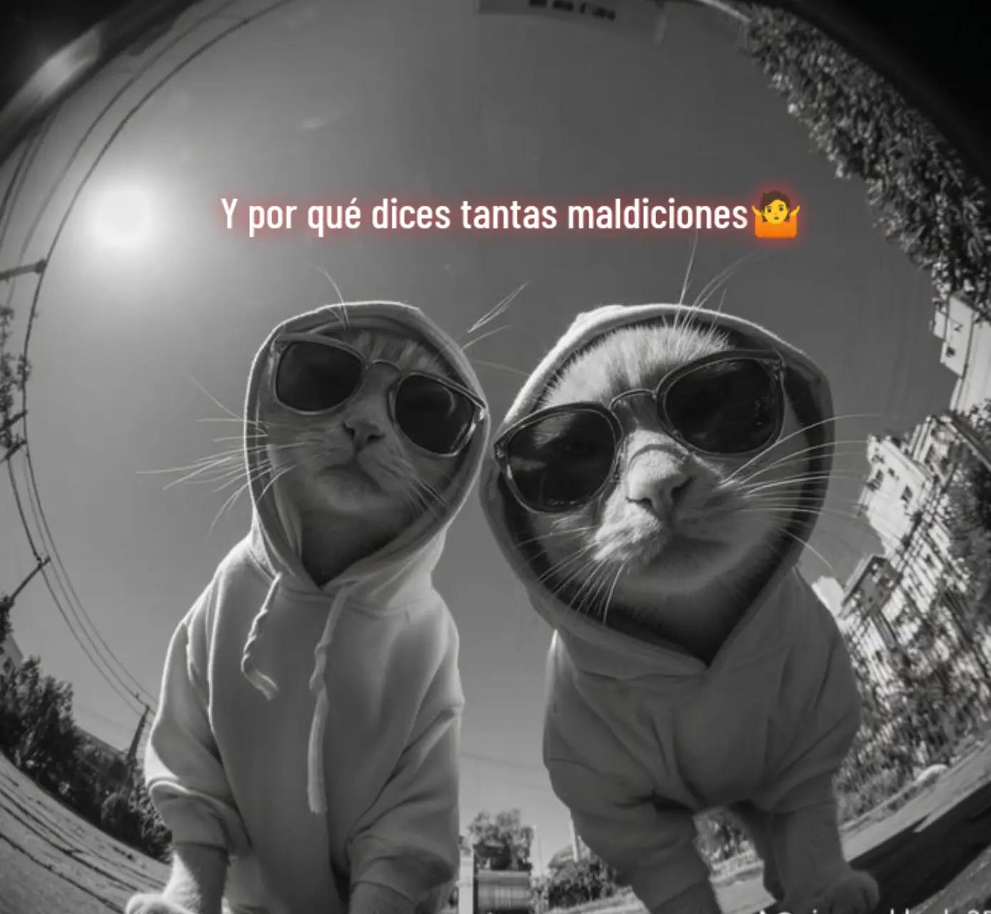 @🫨CHANTI🫨