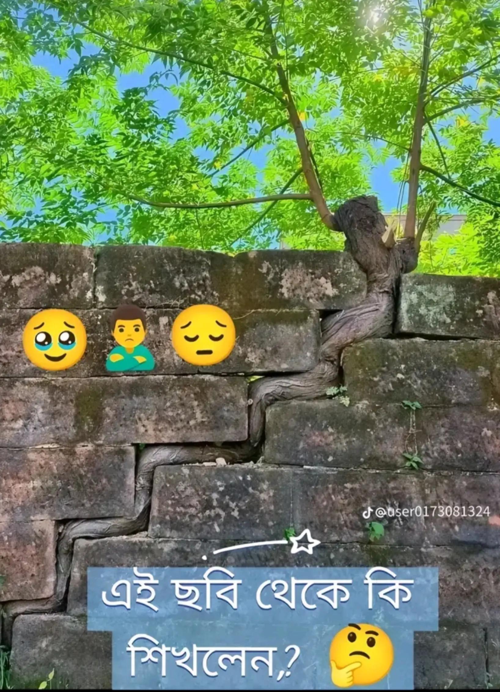 @❤️🔥 MARUF PARVEZ ❤️🔥