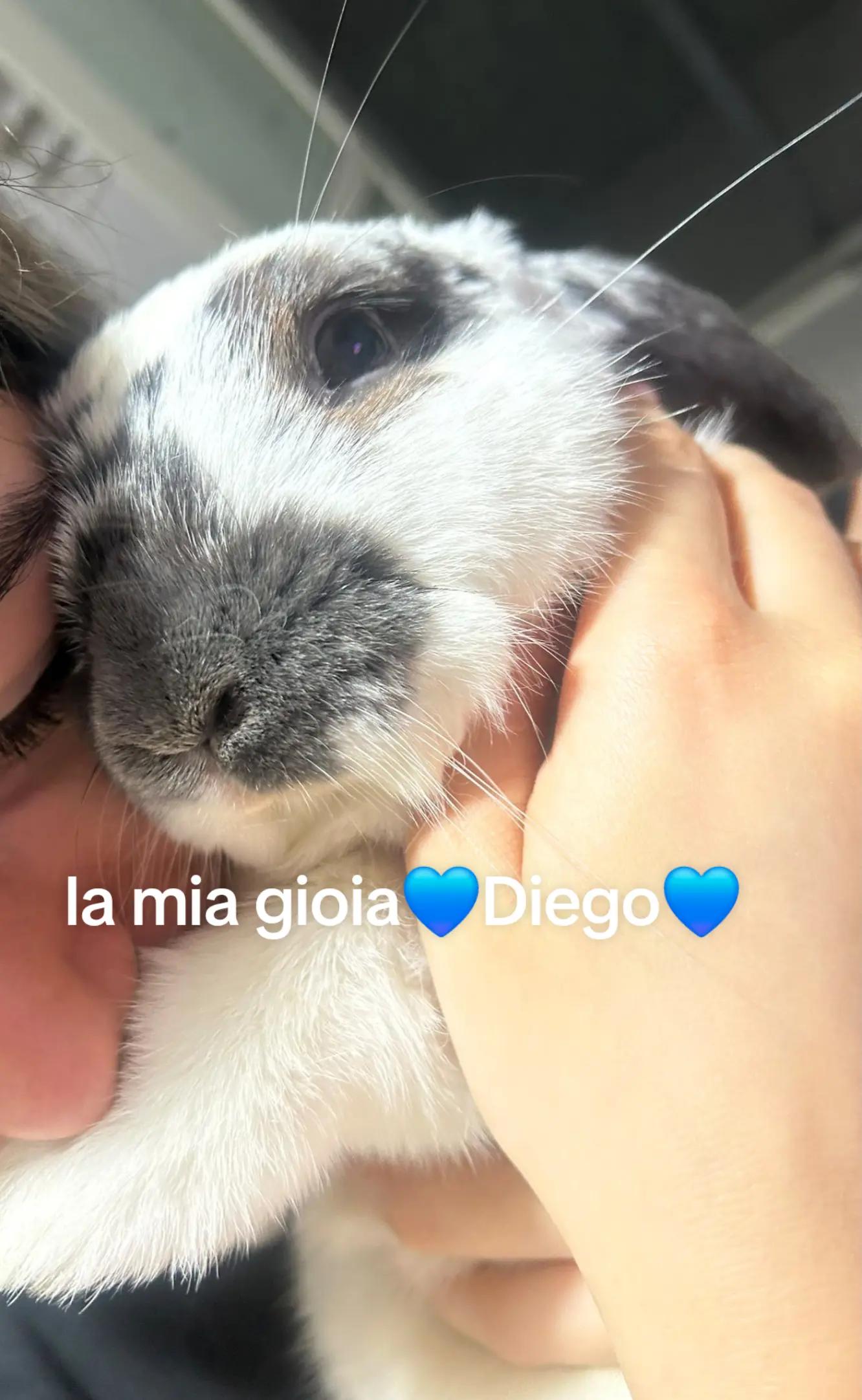 @💙Francy💙Diego💙Mario💙