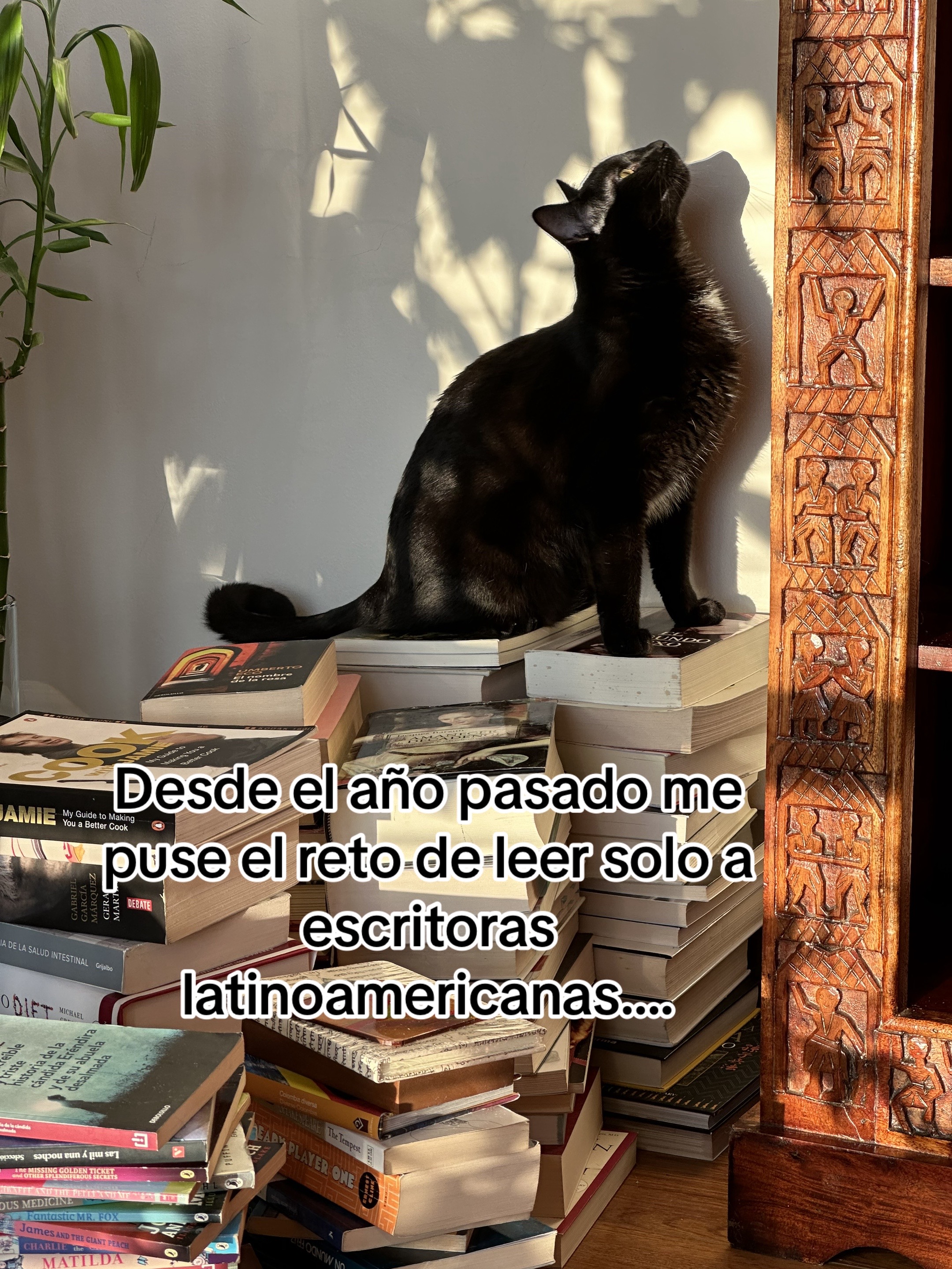 @Juanita ✴️