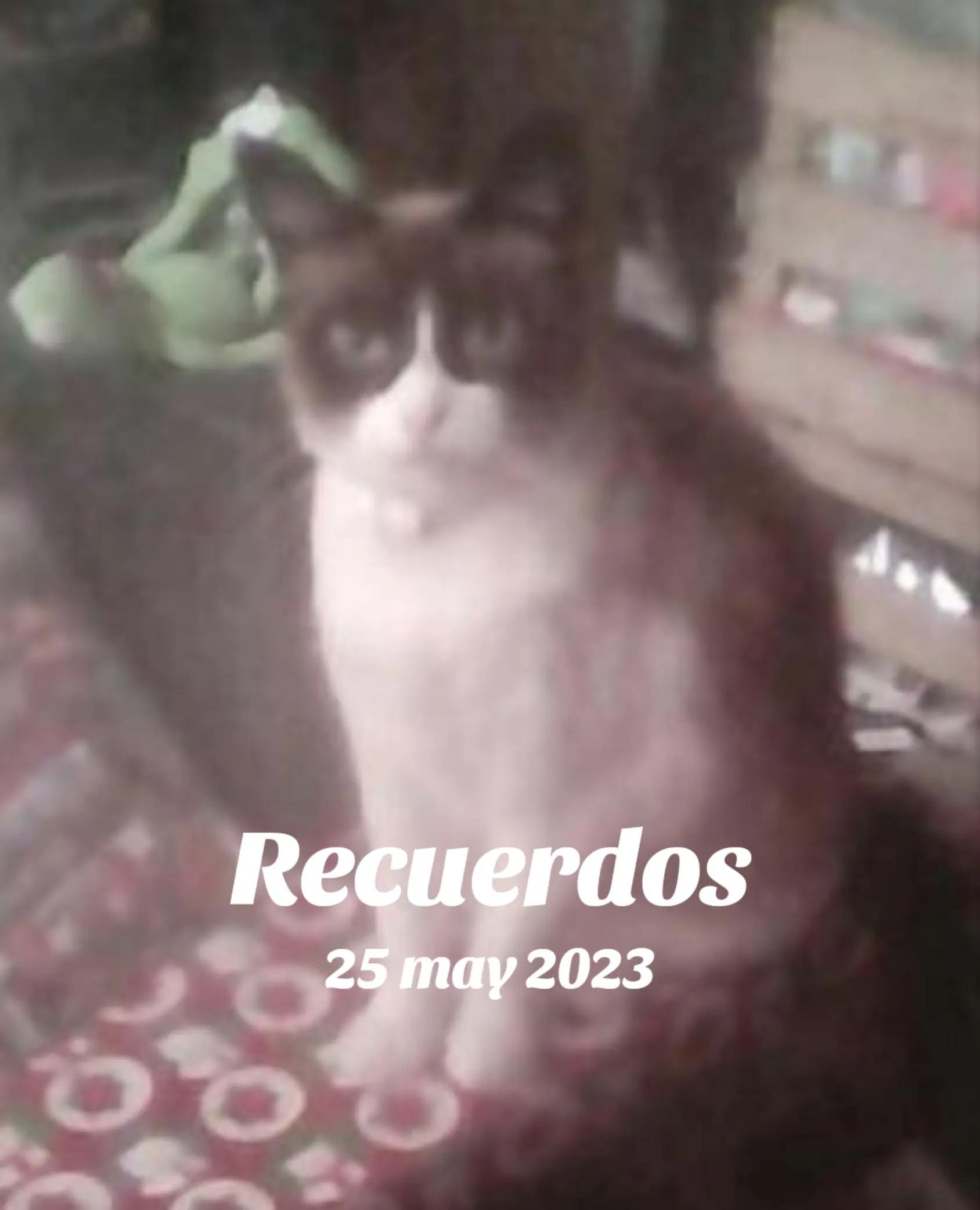 @@lunaeig