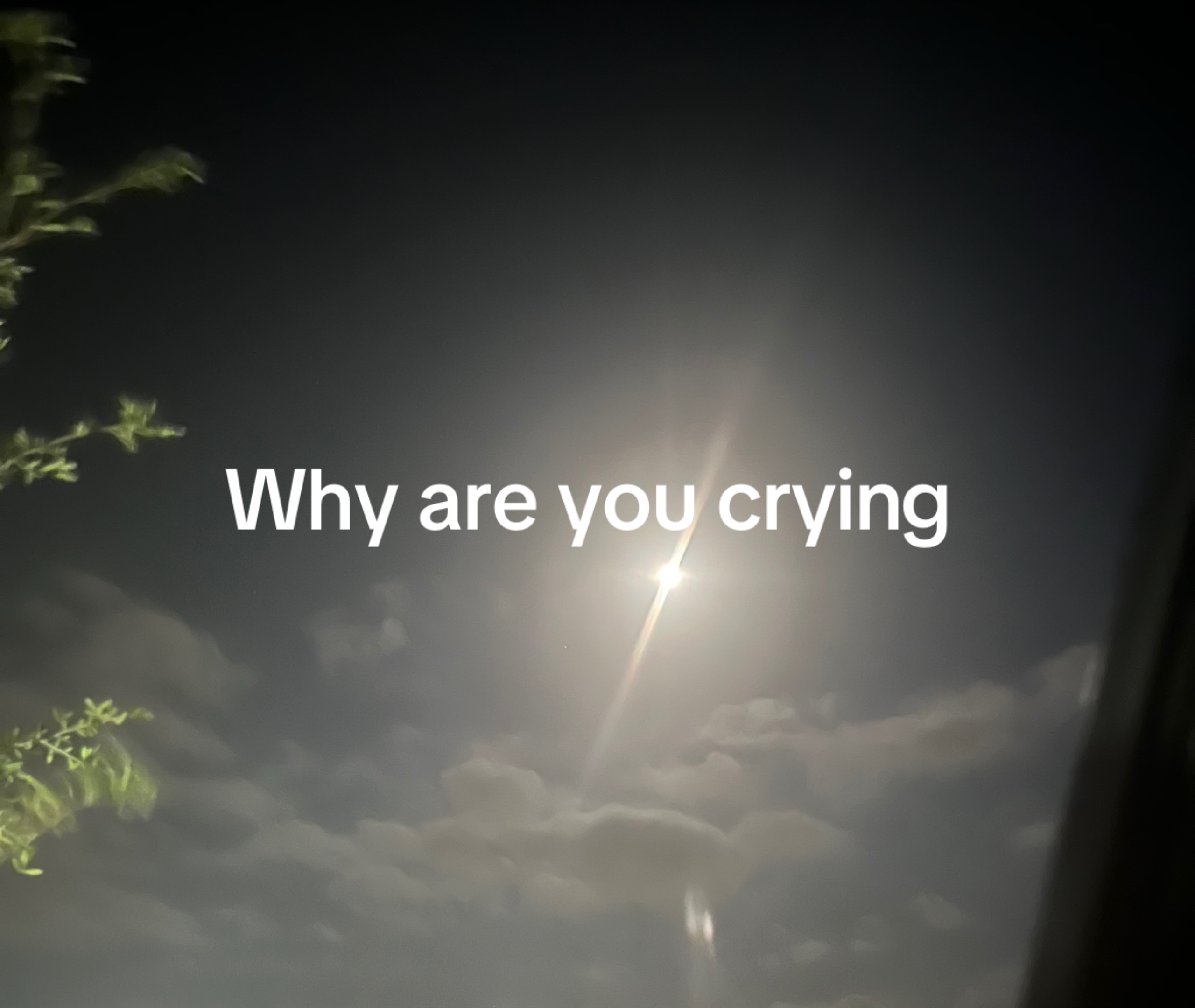 @Abby