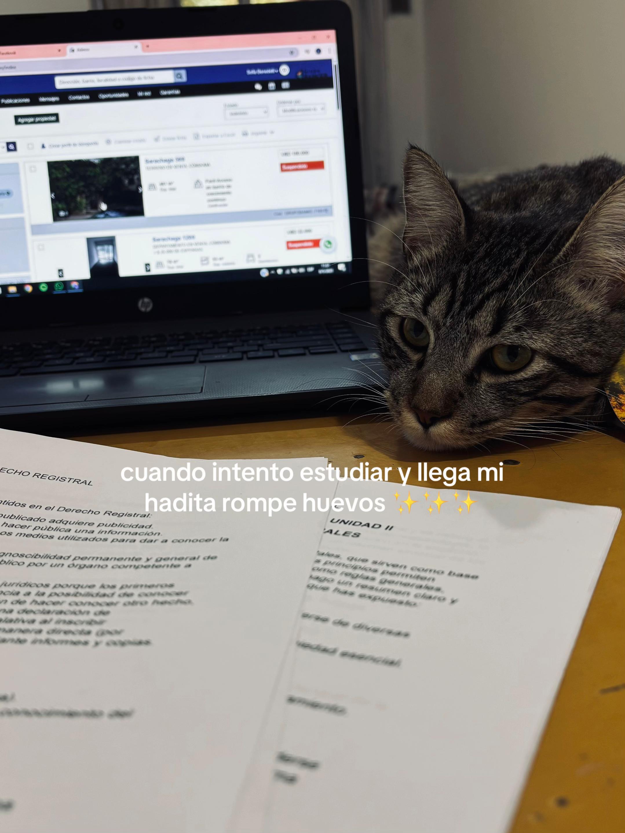 @Sof&iacute;a