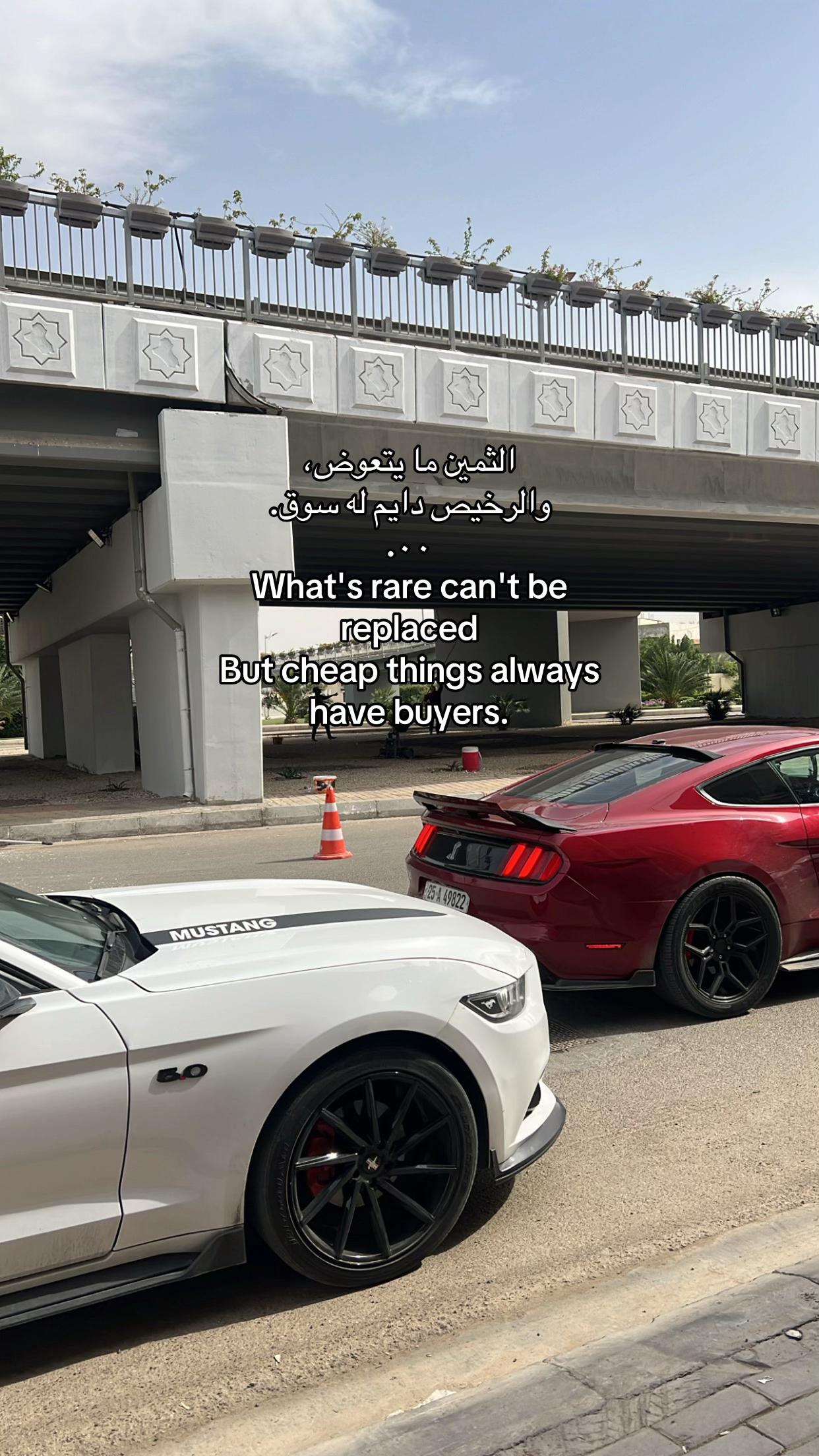 @عبدالقادر الهاشمي ✪