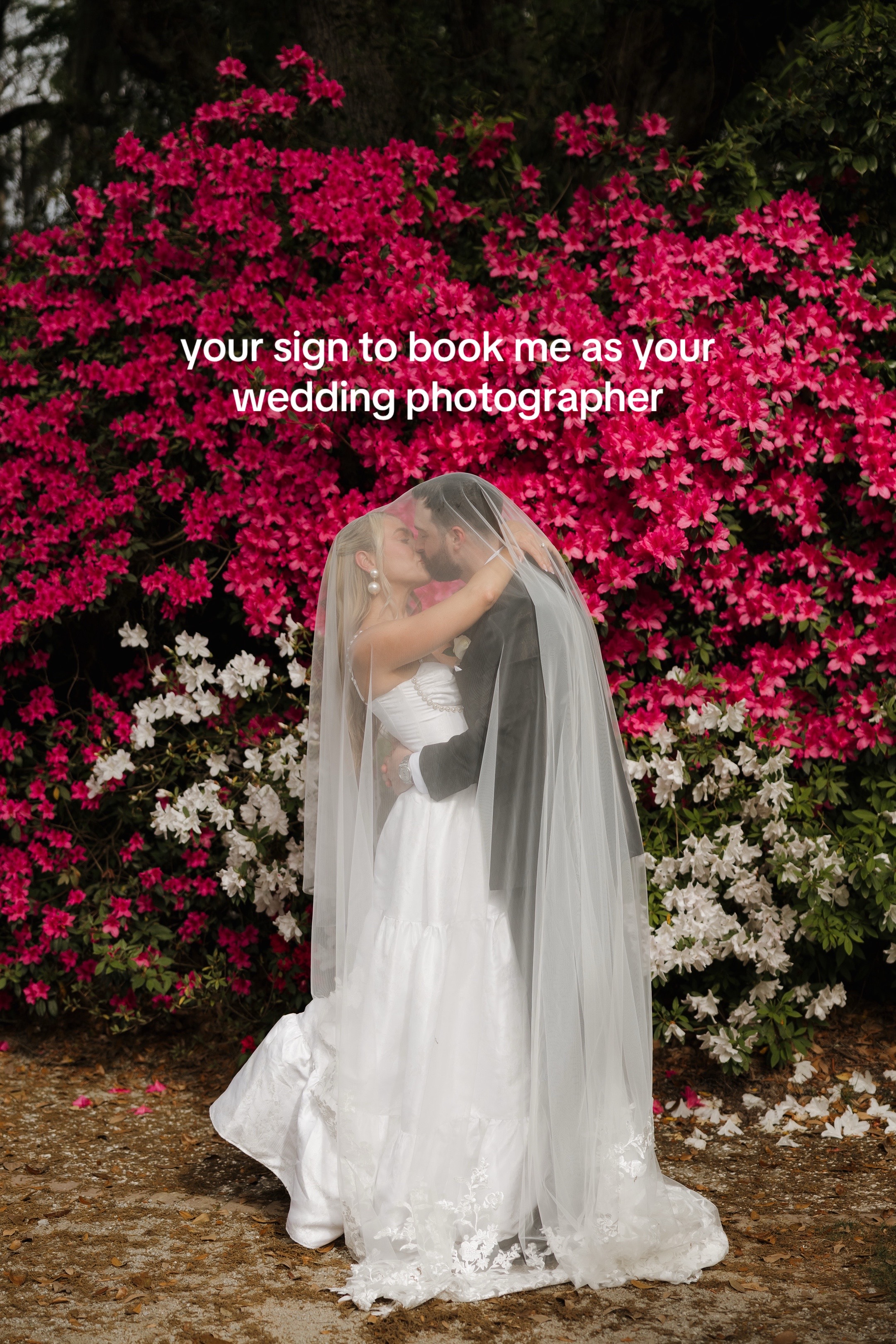 @Palm Beach Photographer |Rose