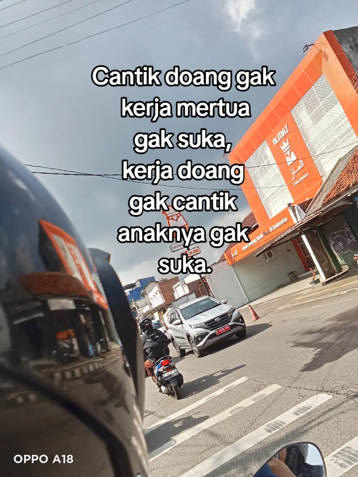 @miii🐣