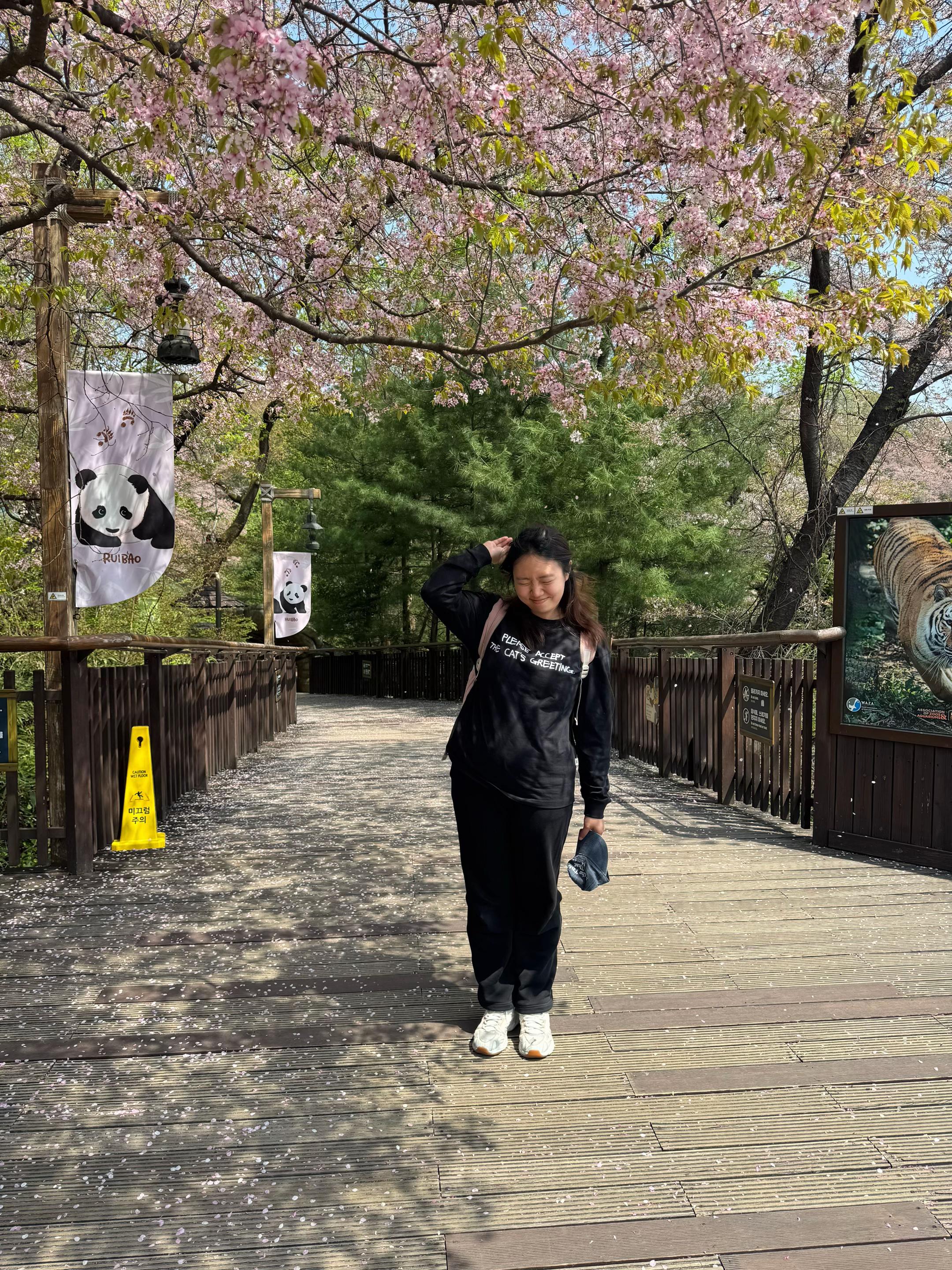 @Jenifer Wirawan 🐼🇮🇩🥹🩵💚