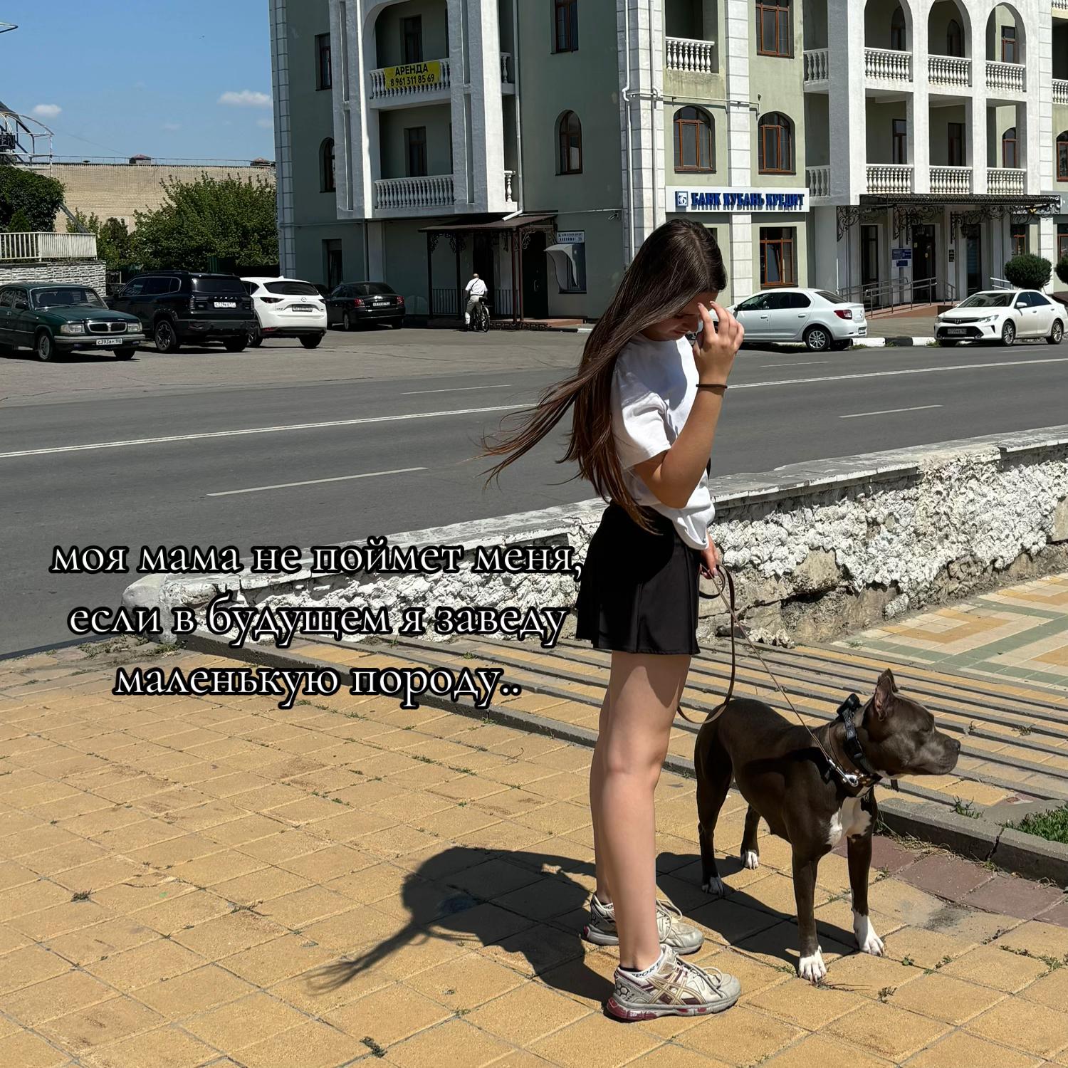 @🐶зᴧой ᴀʍᴄᴛᴀɸɸ⛓️💥