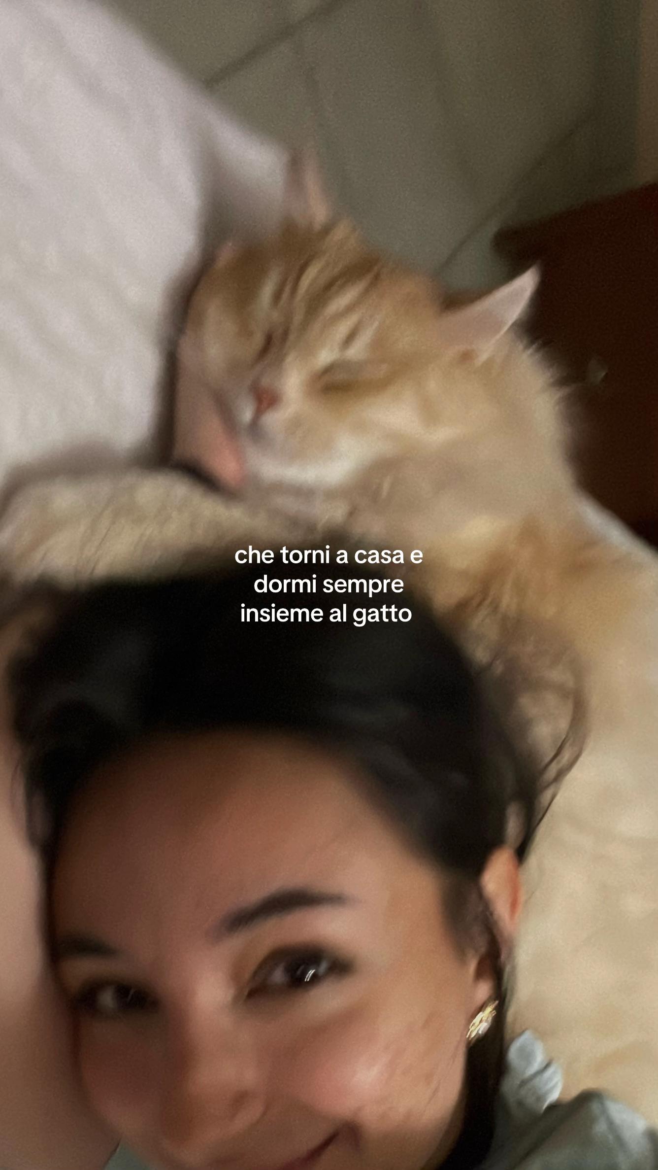 @vanessa