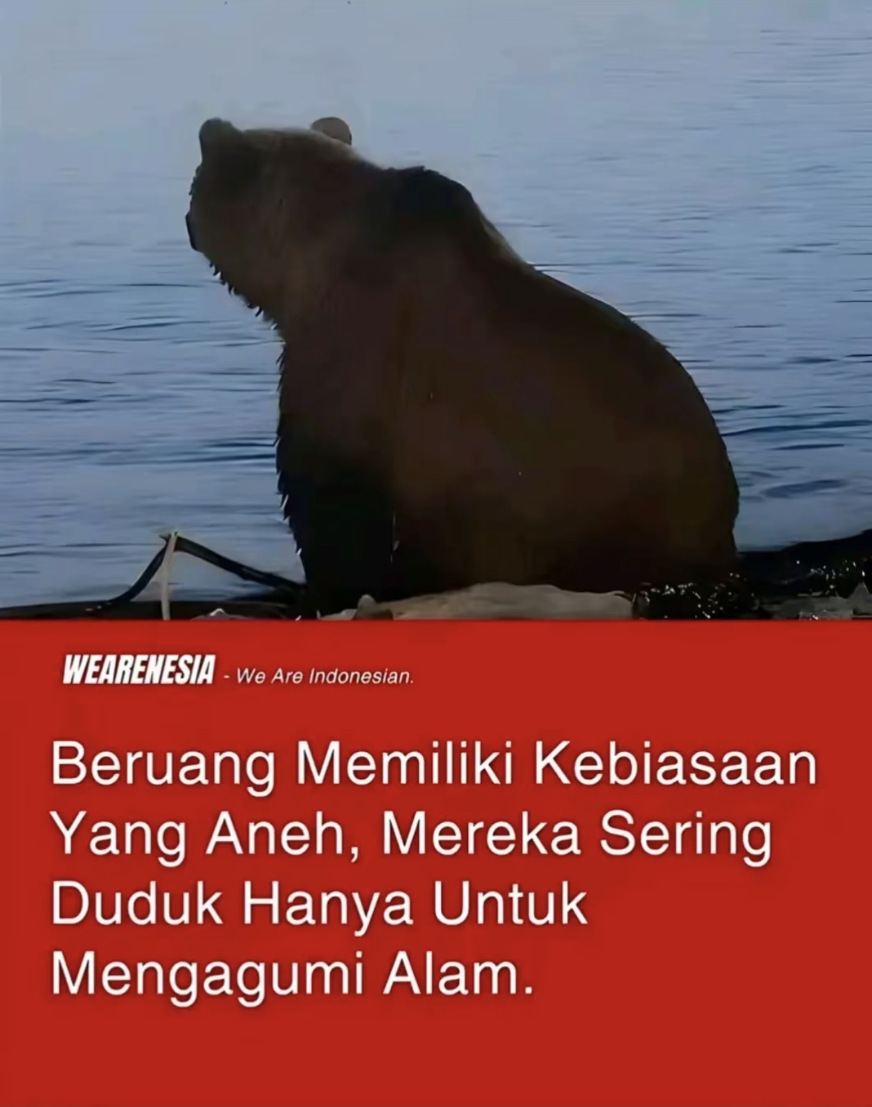 @🤞ڤنجي