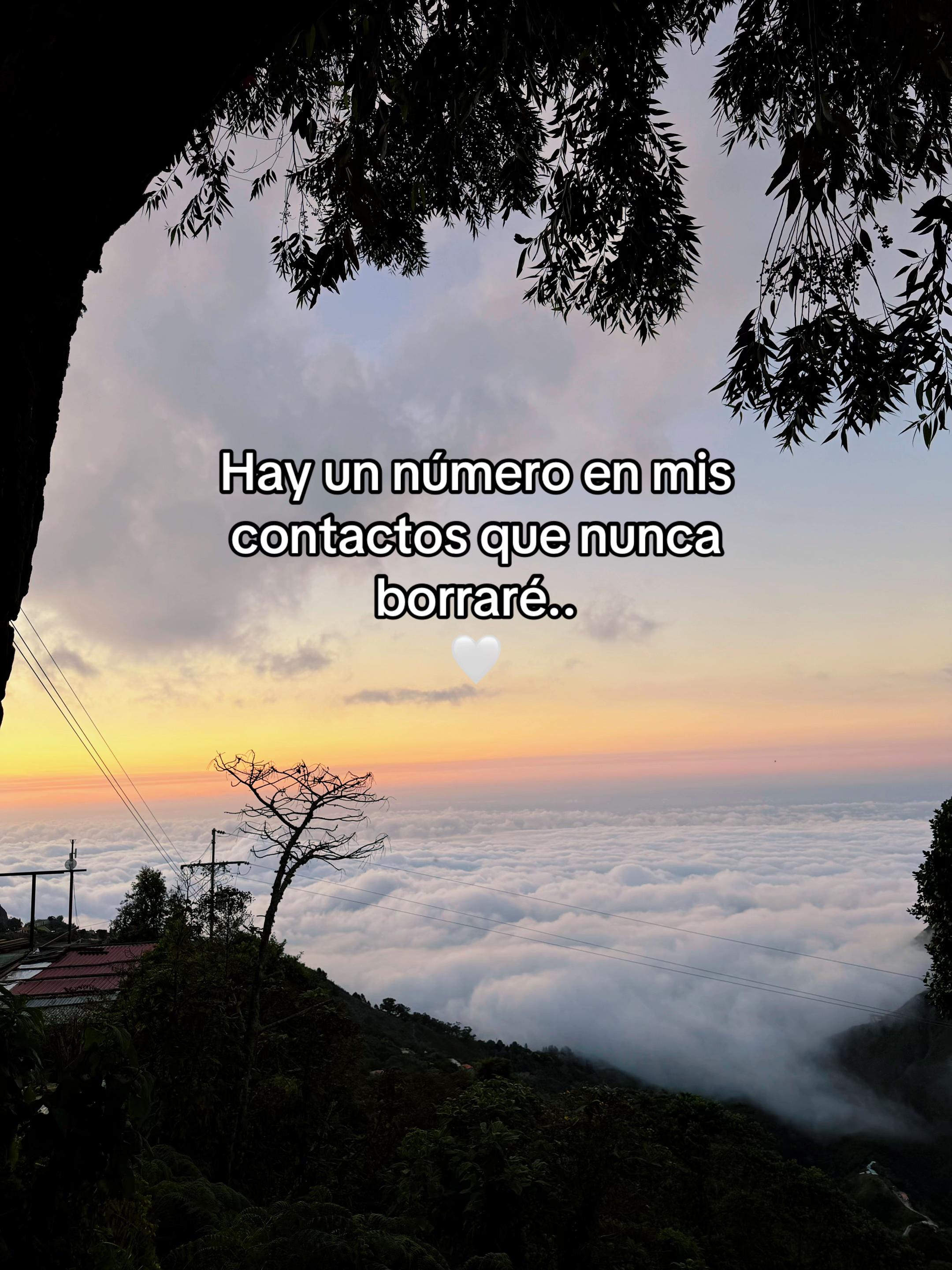@Crismar baptista ✨