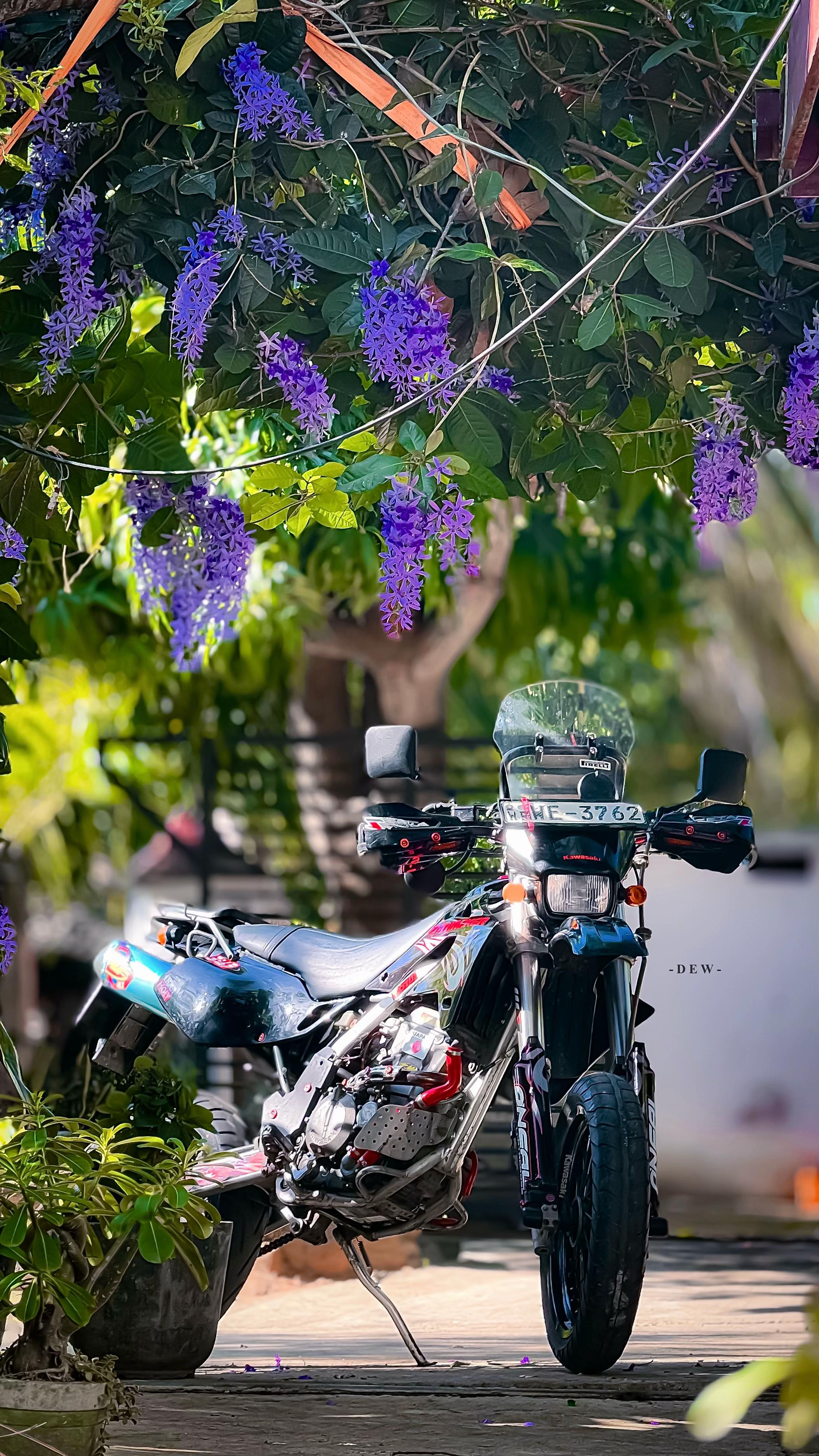 @𝑫 𝒆 𝒘
