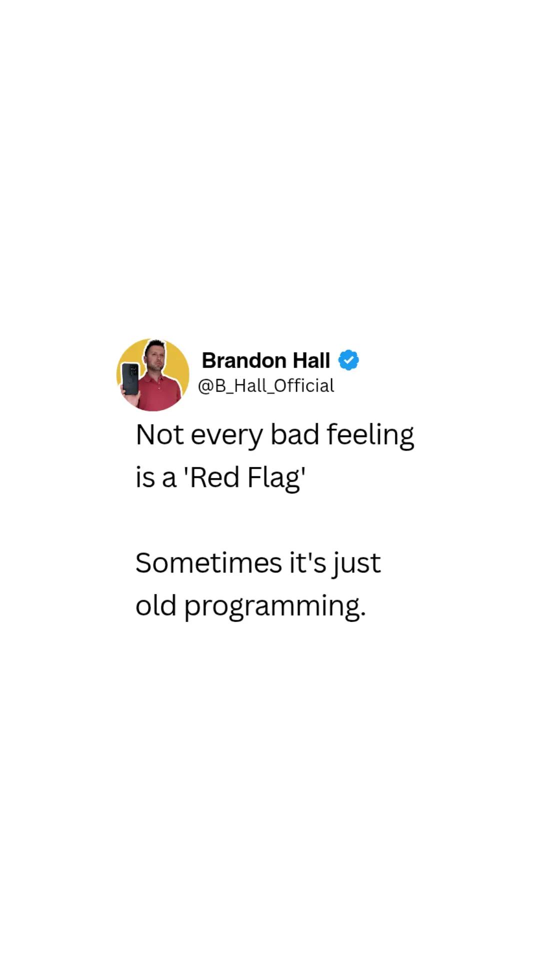 @Brandon Hall Official