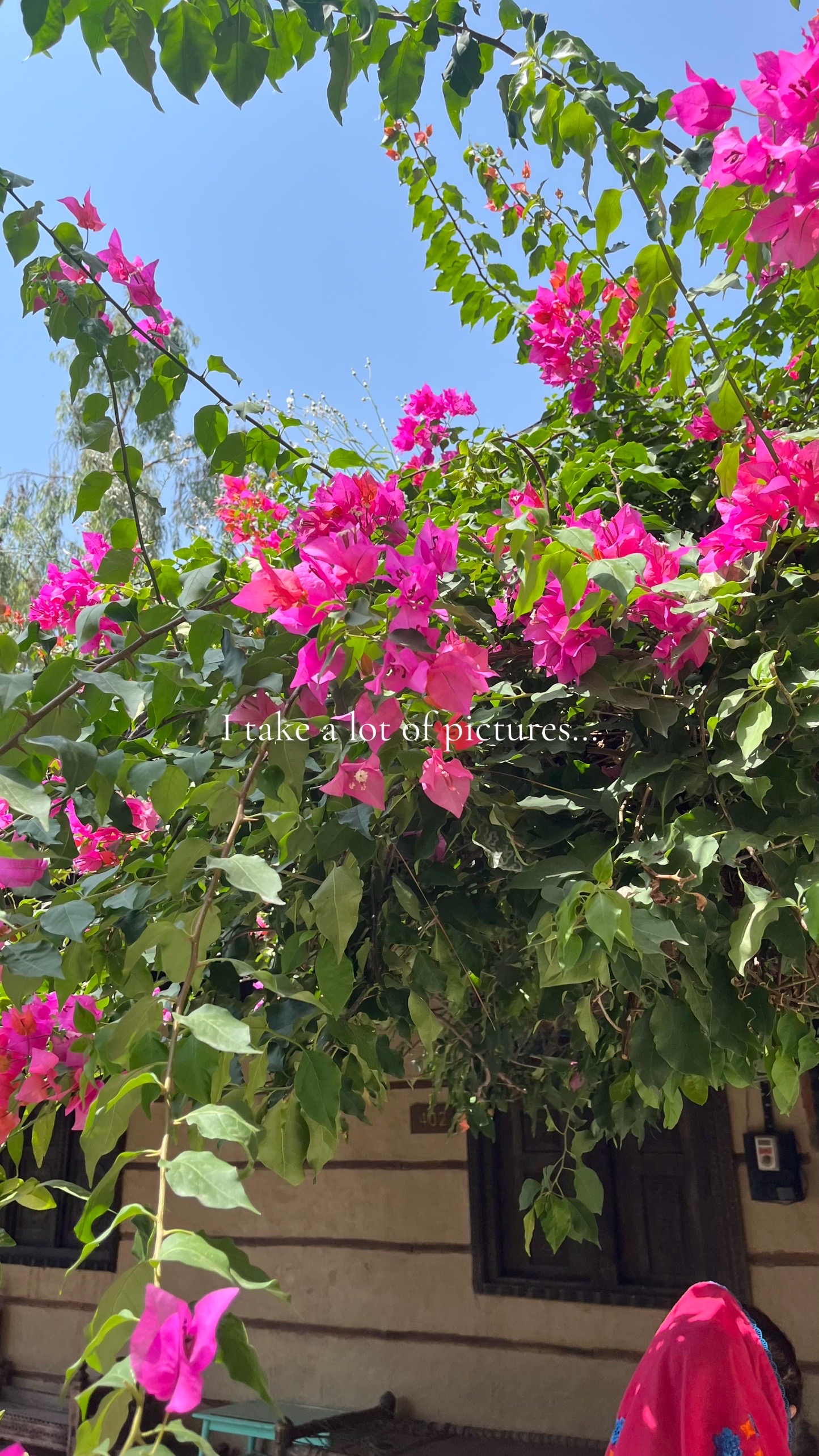 @inspiration vibes