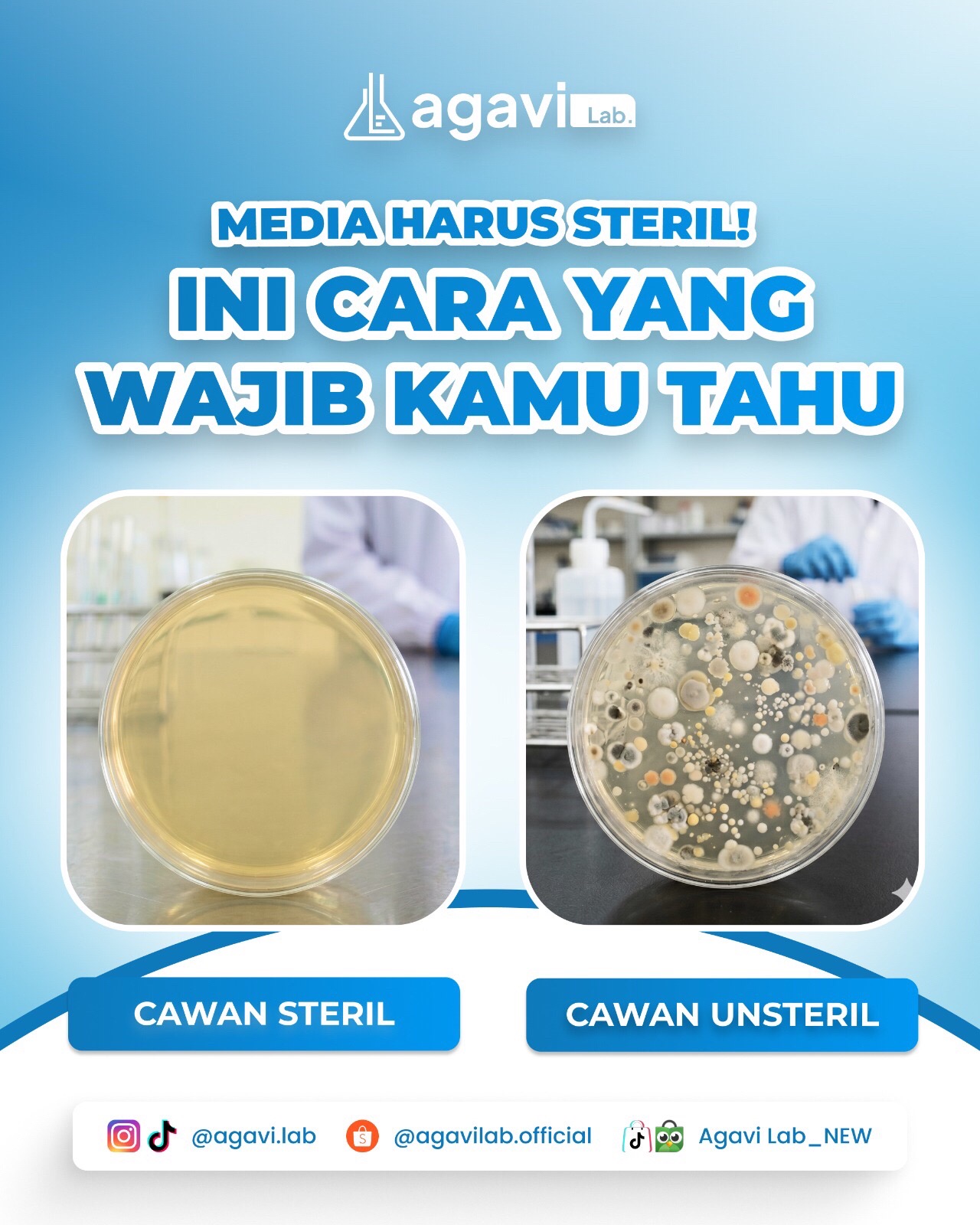 @Agavi Lab