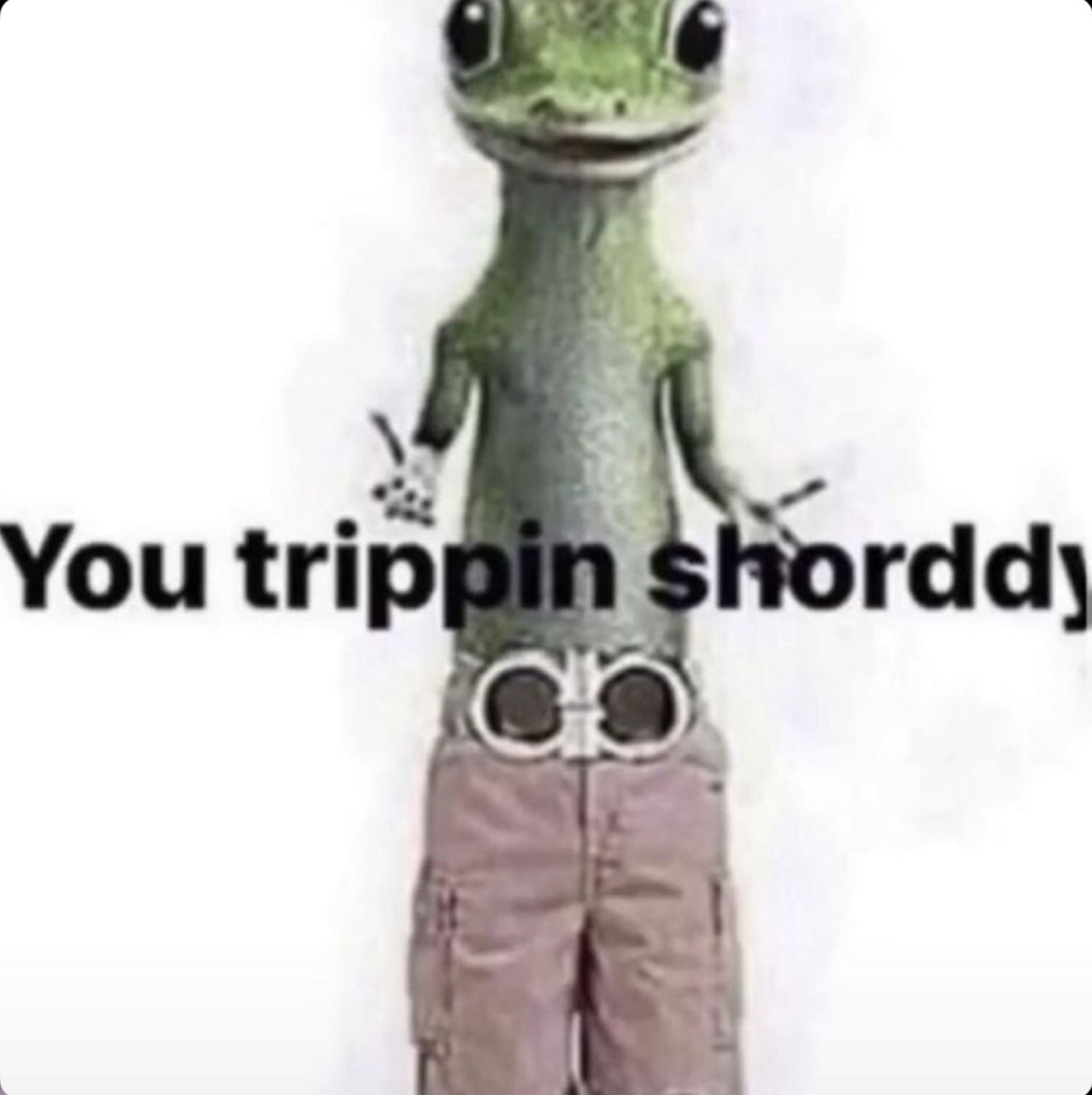 @Rumpyrhino