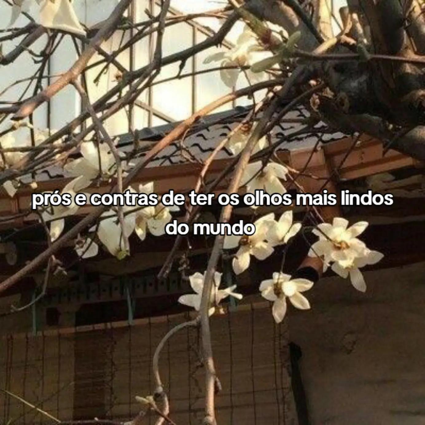 @desisti,amo vcs pitchulos(as)