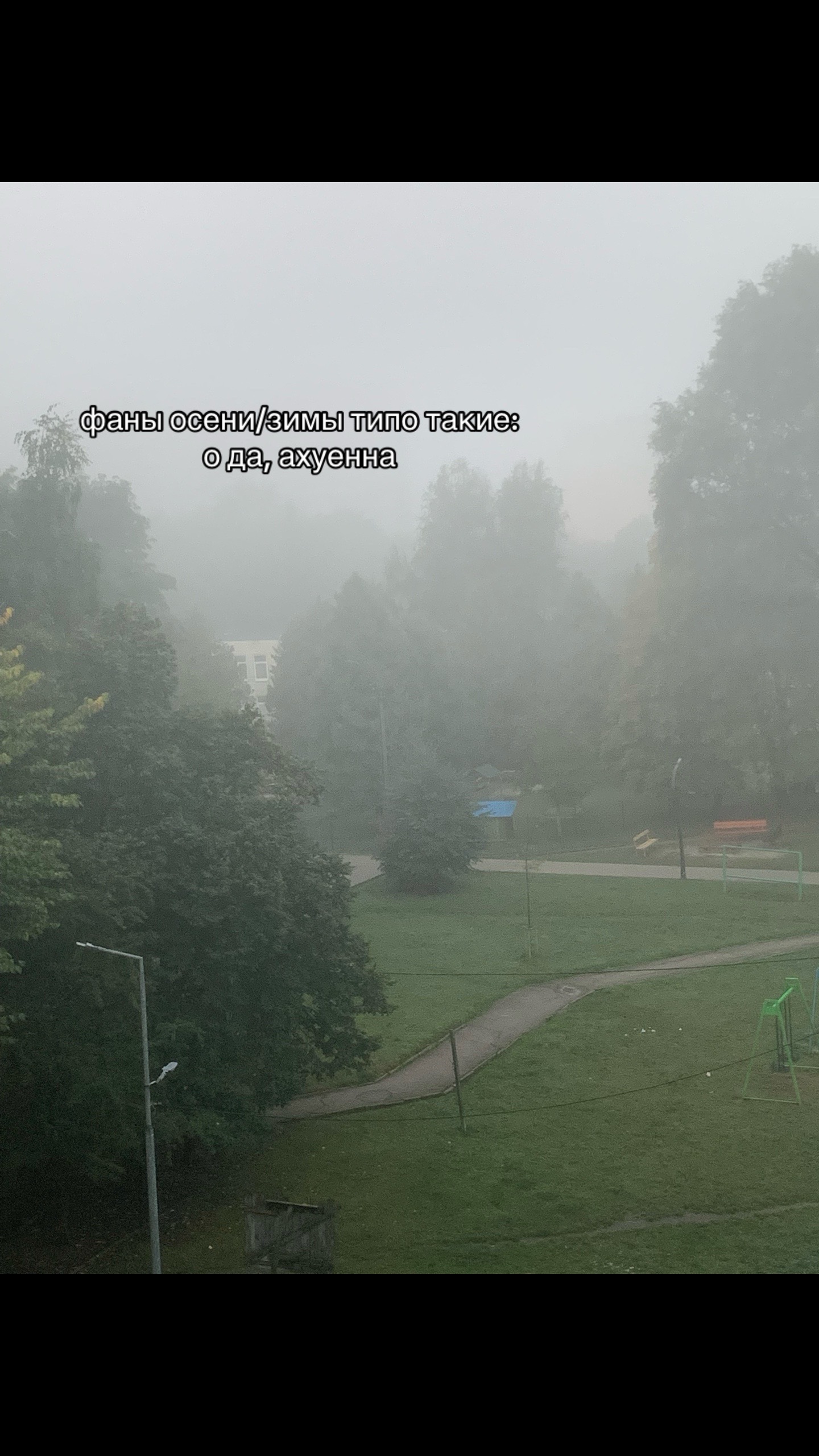 @шмаль водкова 🍋🟩